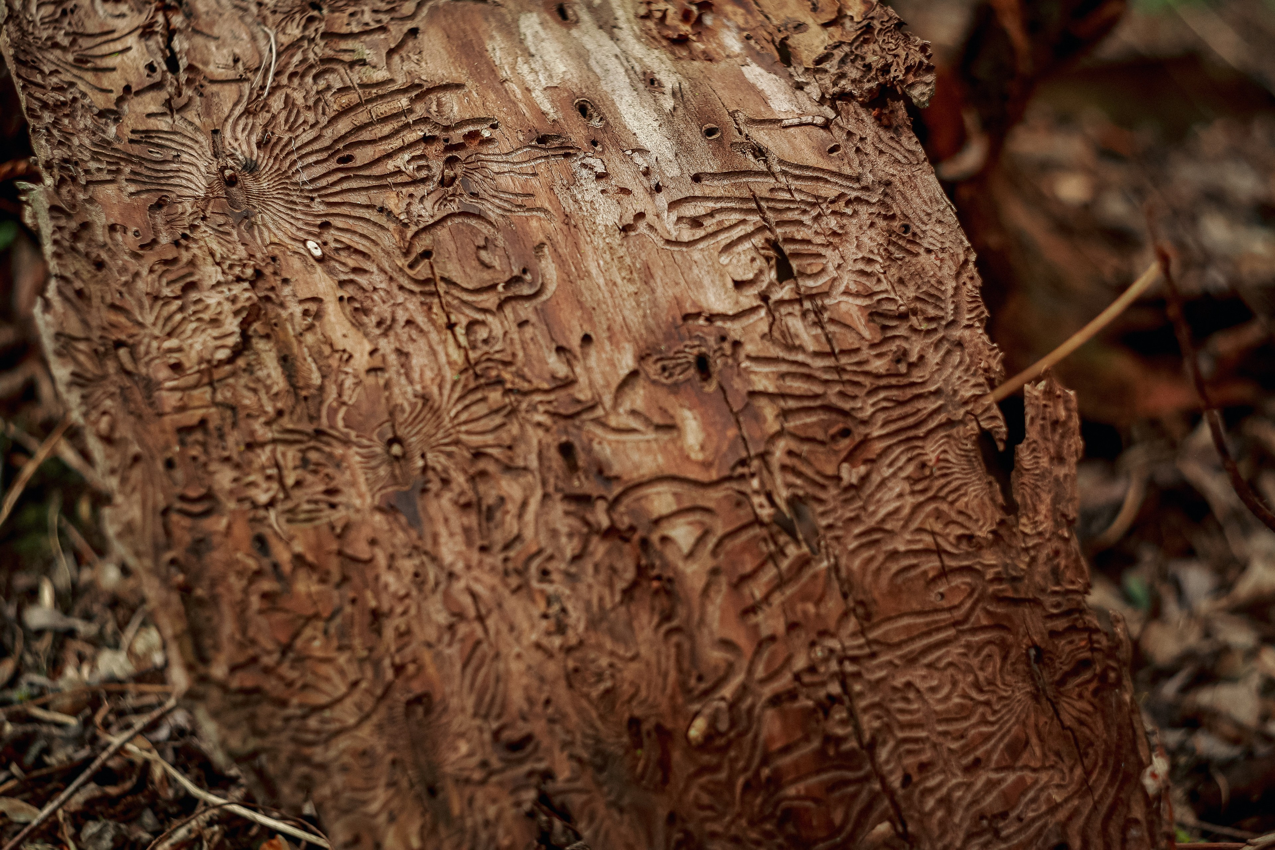 Магия обыкновенного. Фотограф-документалист и фототерапевт Настя Китаева. Город Москва