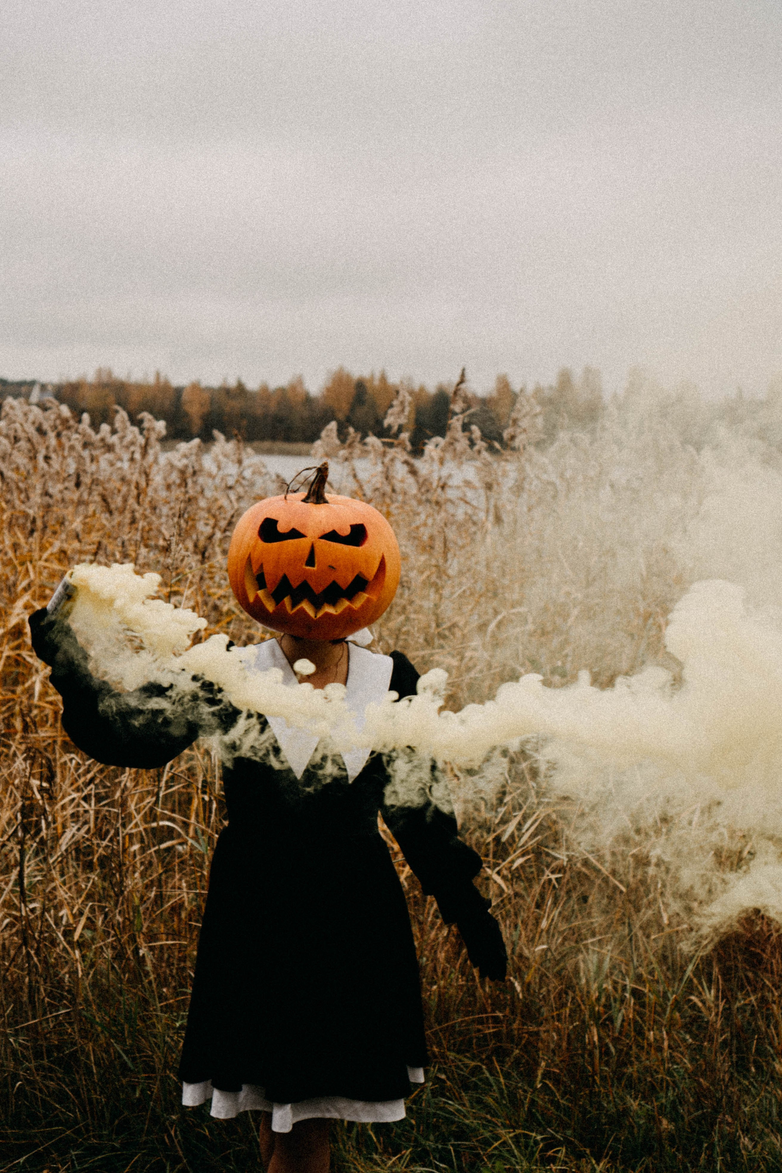 Осеняя. Профессиональный фотограф, Санкт-Петербург — Виктория Богомолова