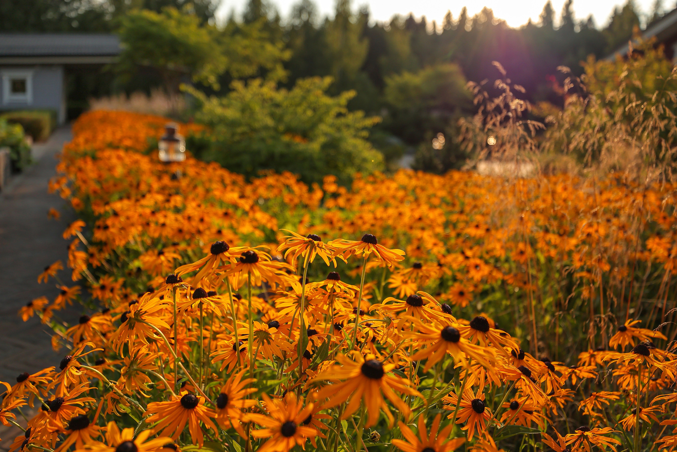 Сады. Ландшафтный фотограф Андрей Лысиков, Москва