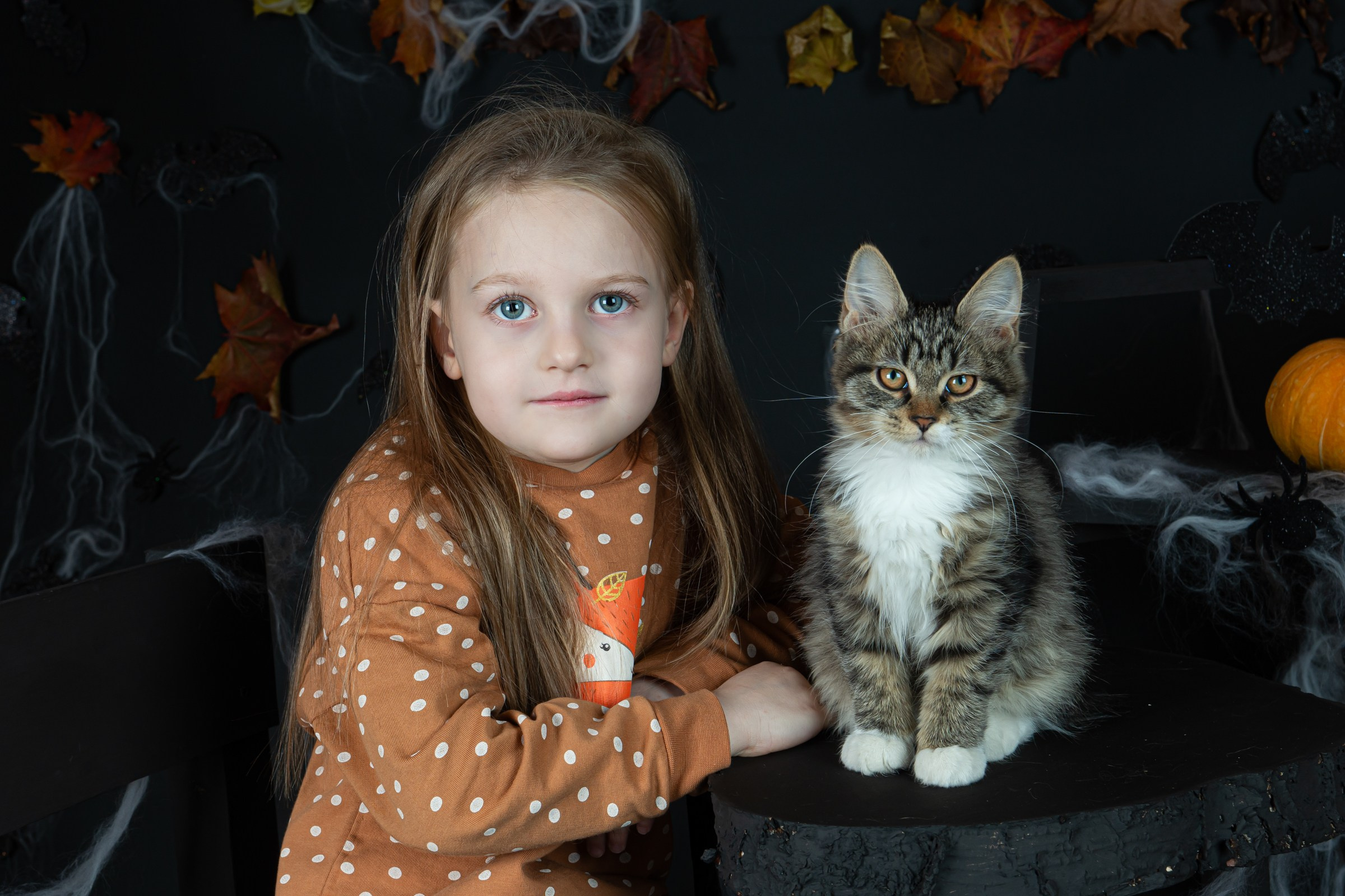 Хеллоуин 2024. Фотограф на Камчатке Анна Моргачёва. Семейные и детские съёмки