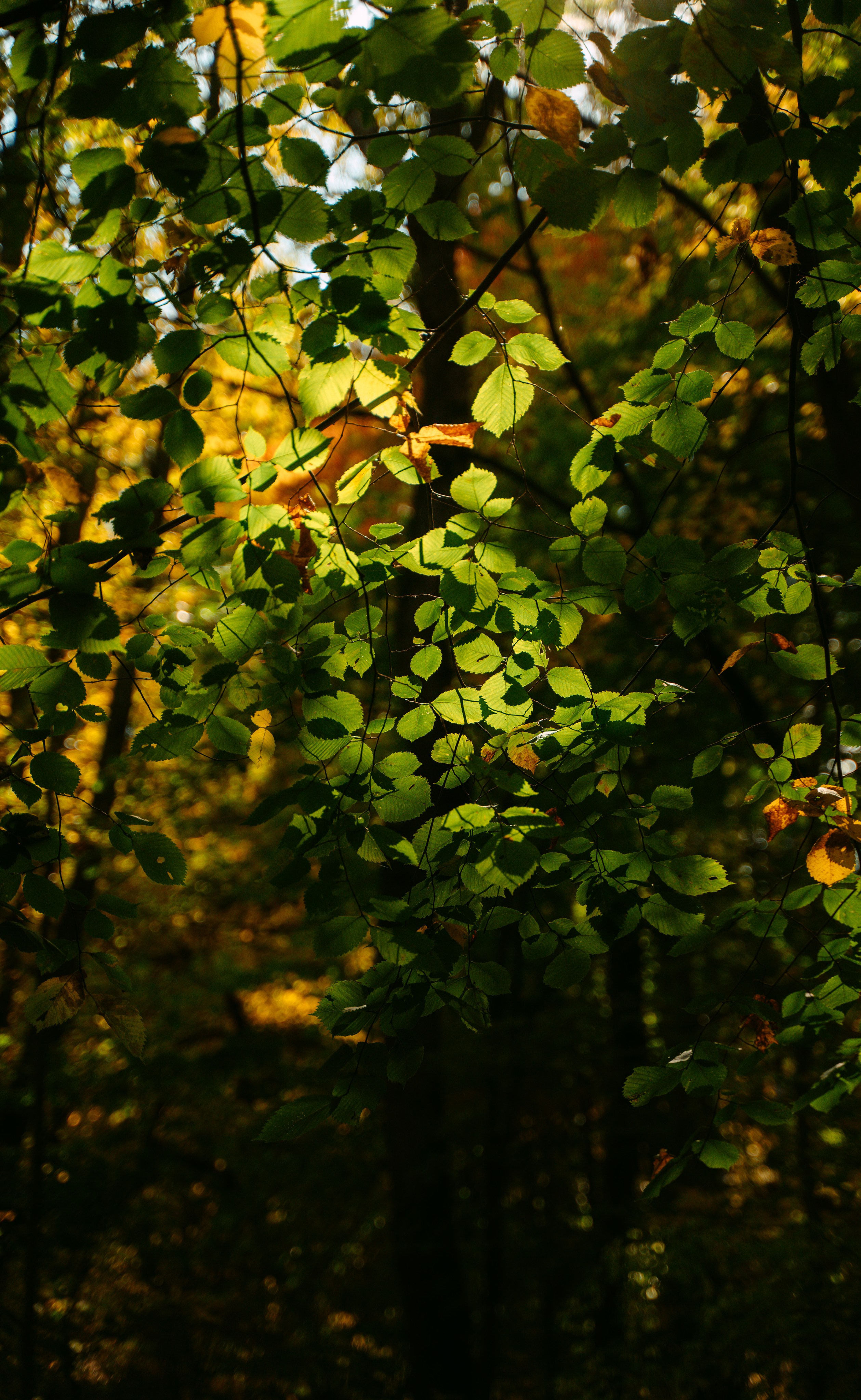 Good Friends Trip / команда локальных путешествий. Саша Копылов, фотограф в Казани