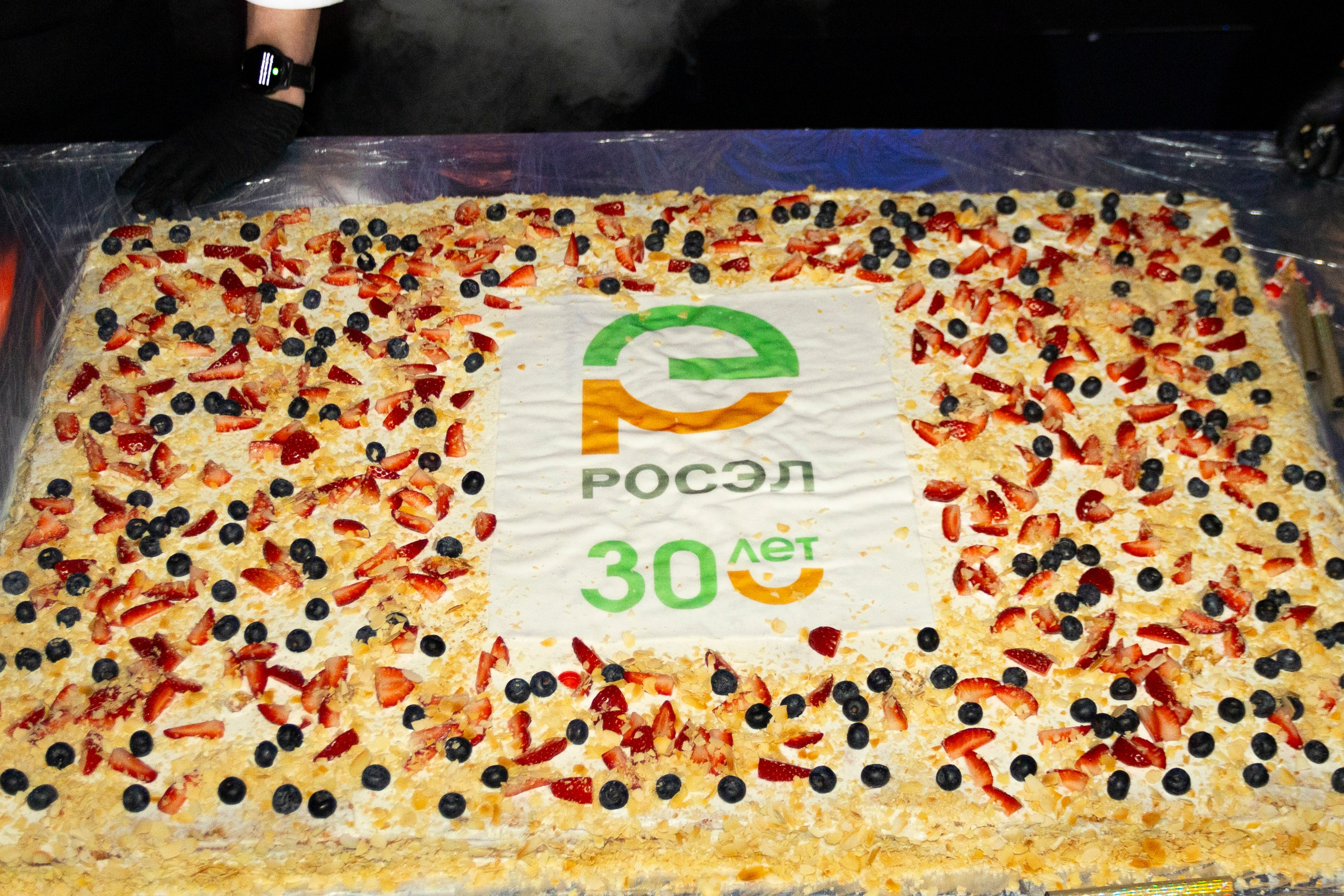 РОСЭЛ. Портретный Фотограф Александр «Konevtsoph» В Санкт-Петербурге