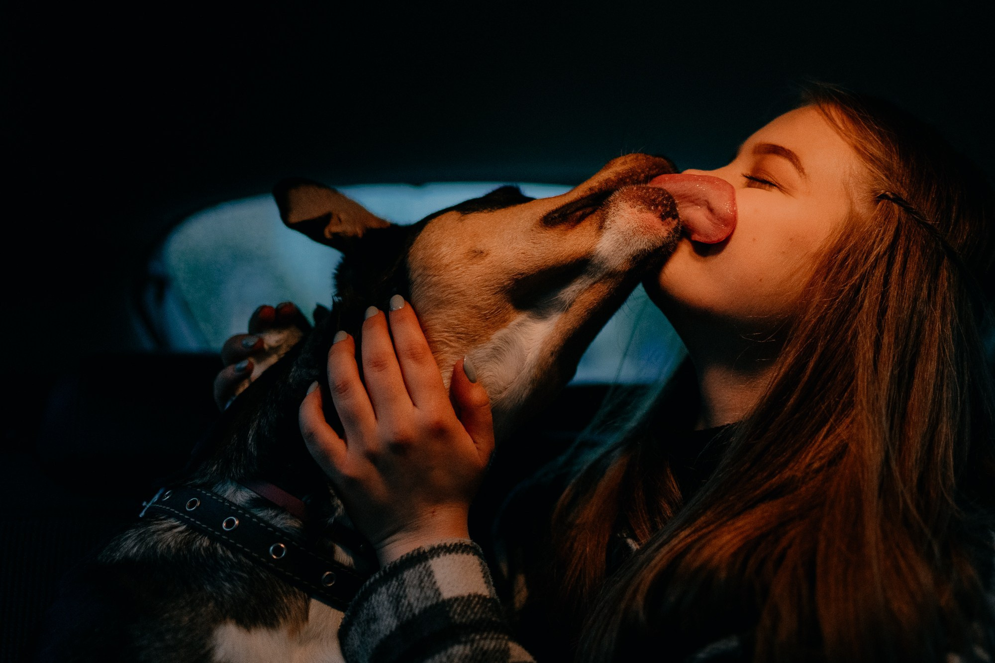 Photos from different sessions. Photos of you and your pet