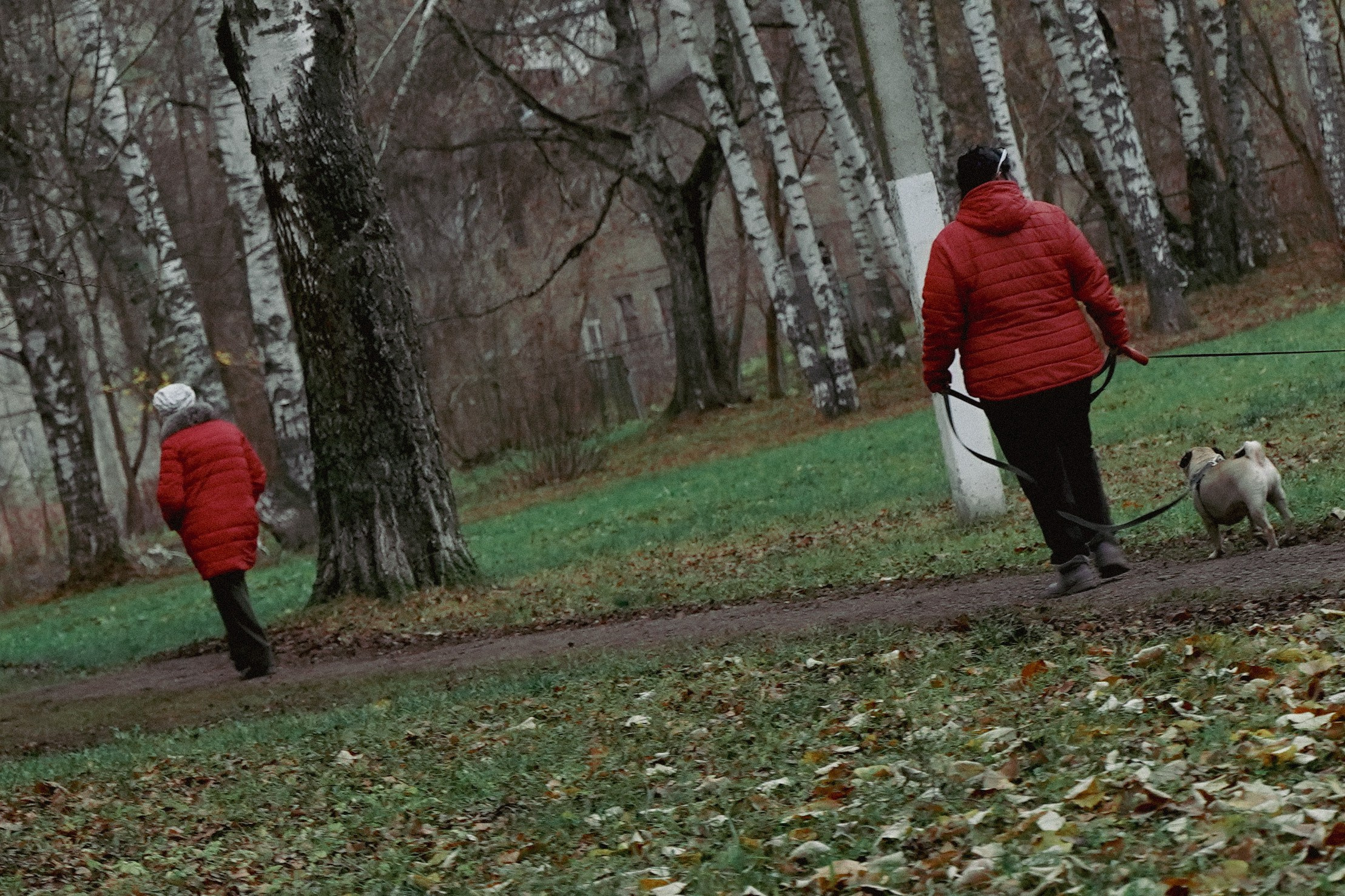 Уличная Съемка (3). Видео и Фото