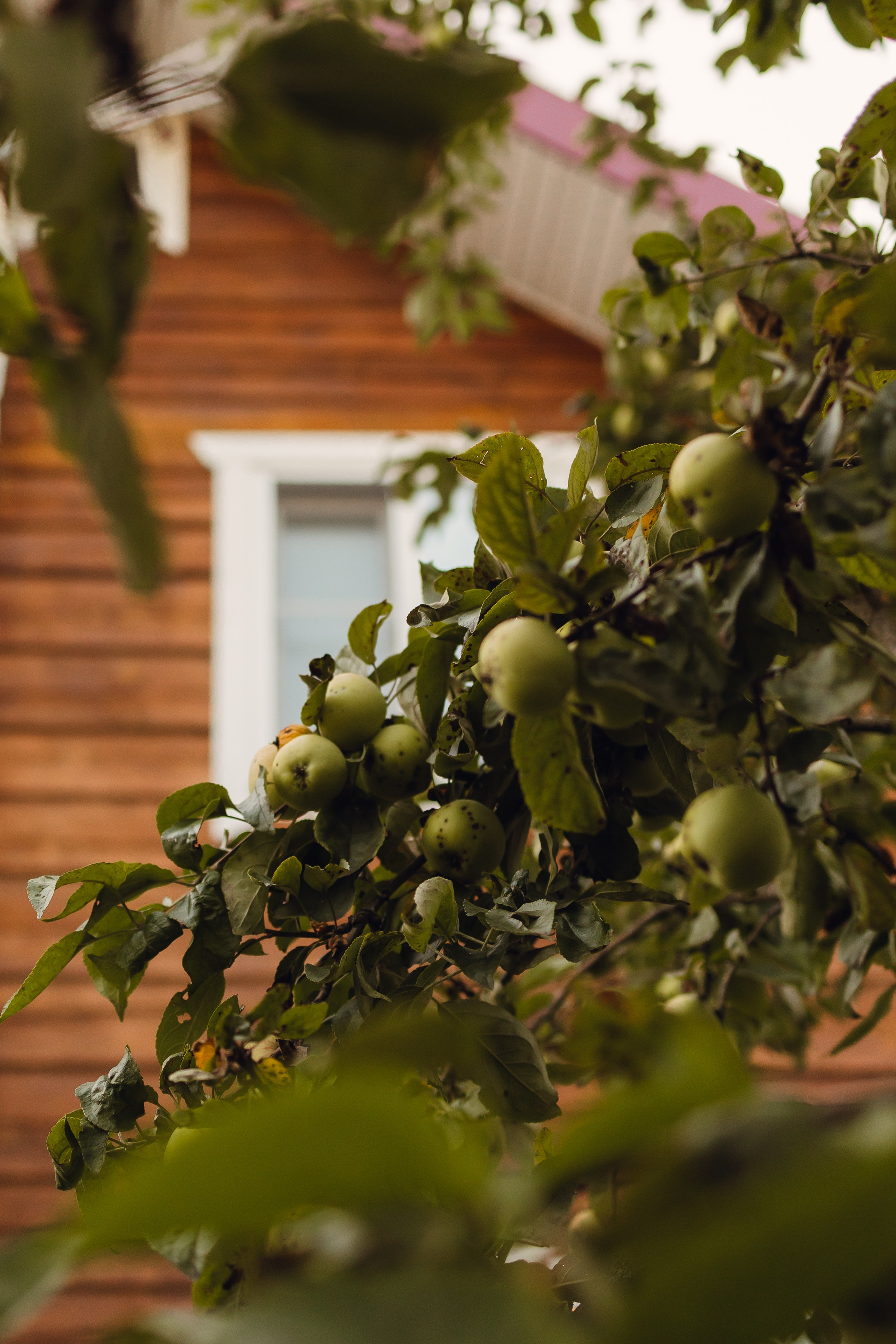 Анна, Михаил, Федя и Боря. Фотограф Печерская Анастасия