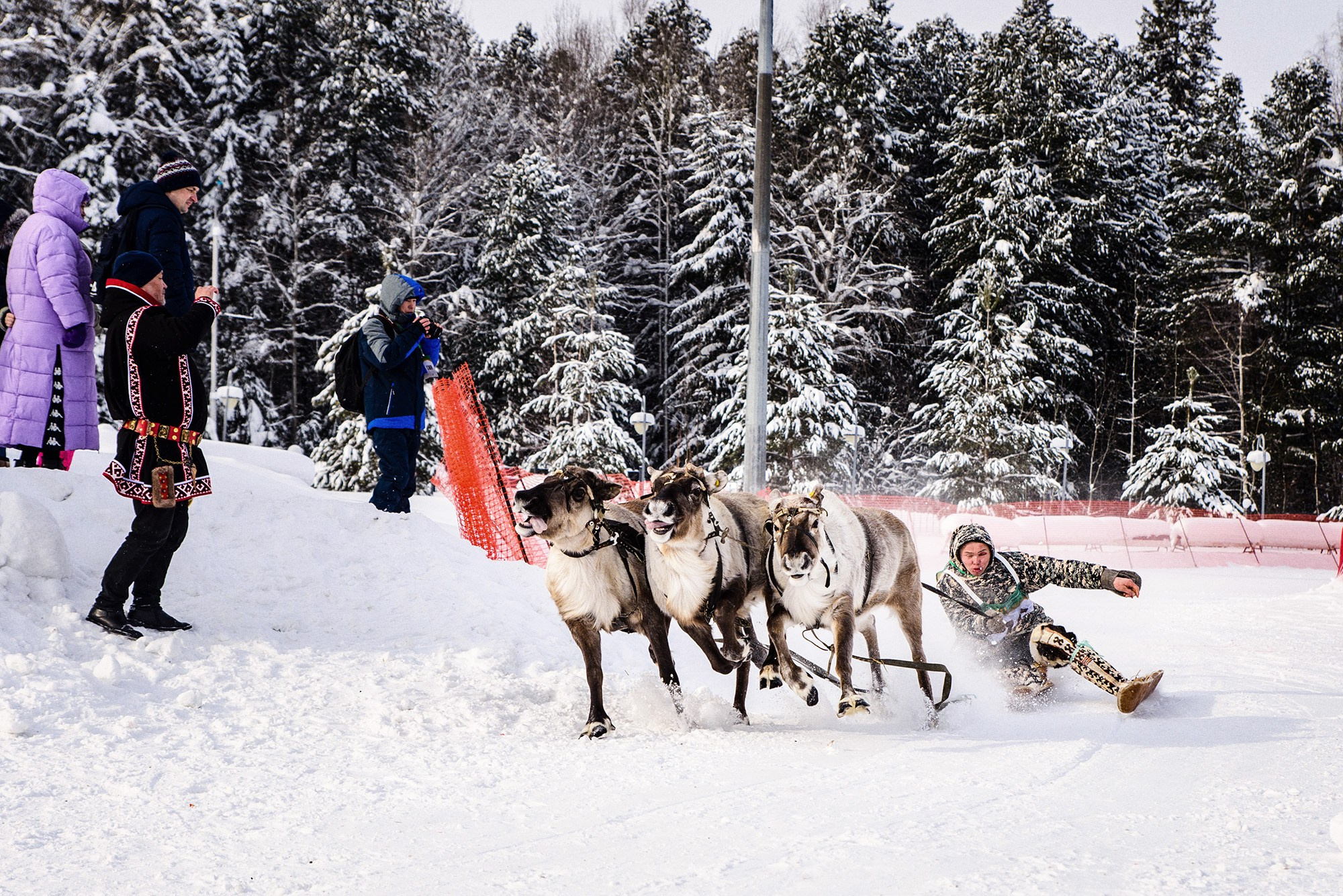 Конкурс оленеводов. Фотограф в Ханты-Мансийске Евгений Жуланов