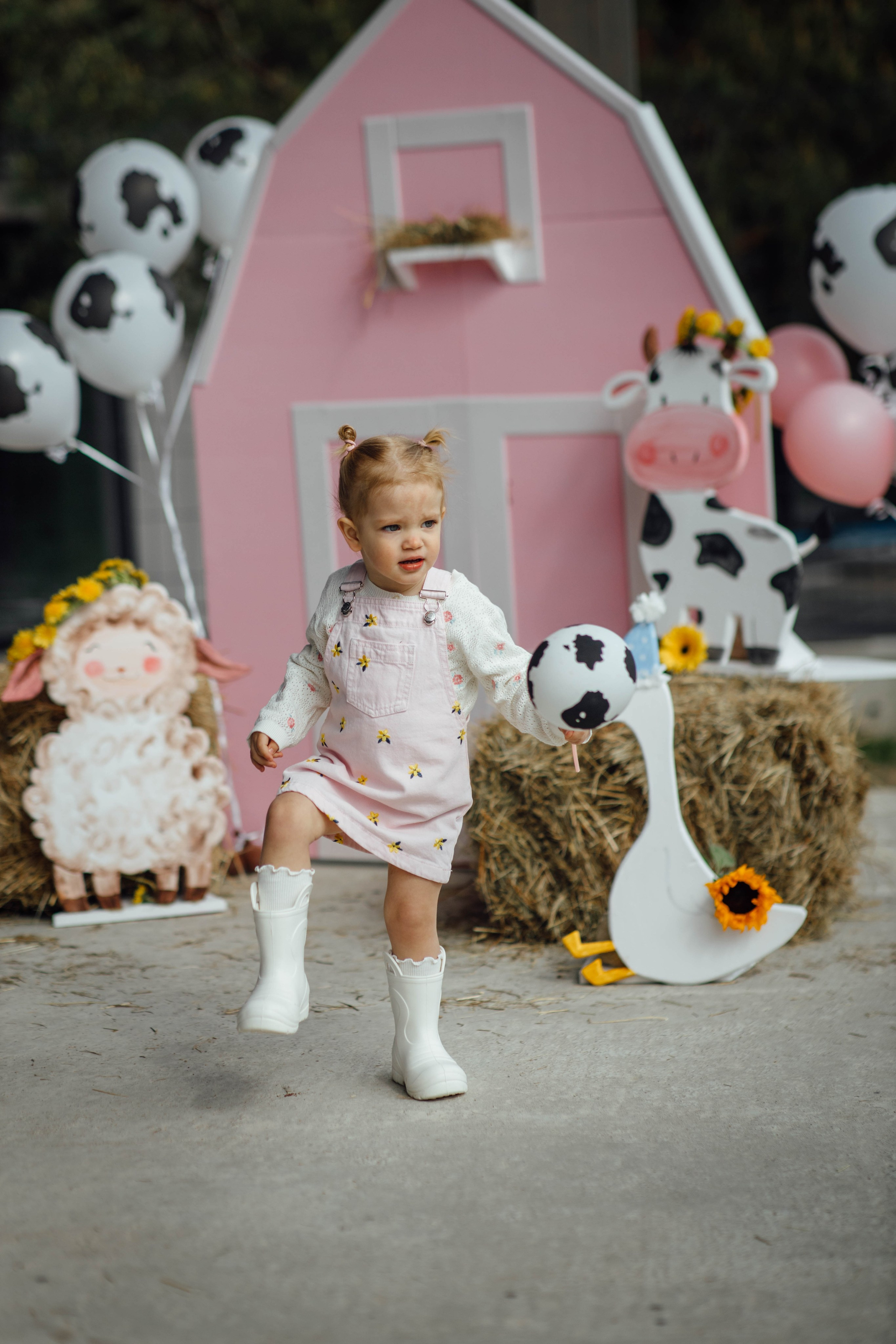 Репортаж дома, др