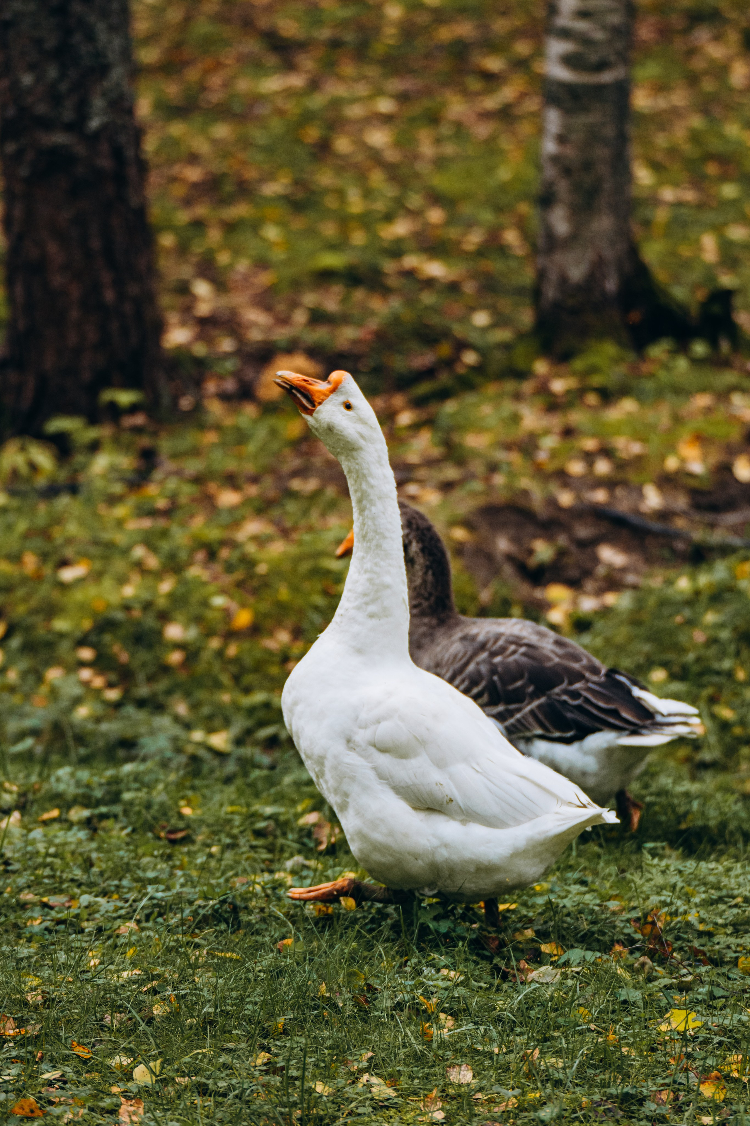 СЕВЕР. Event фотограф Степанова Александра