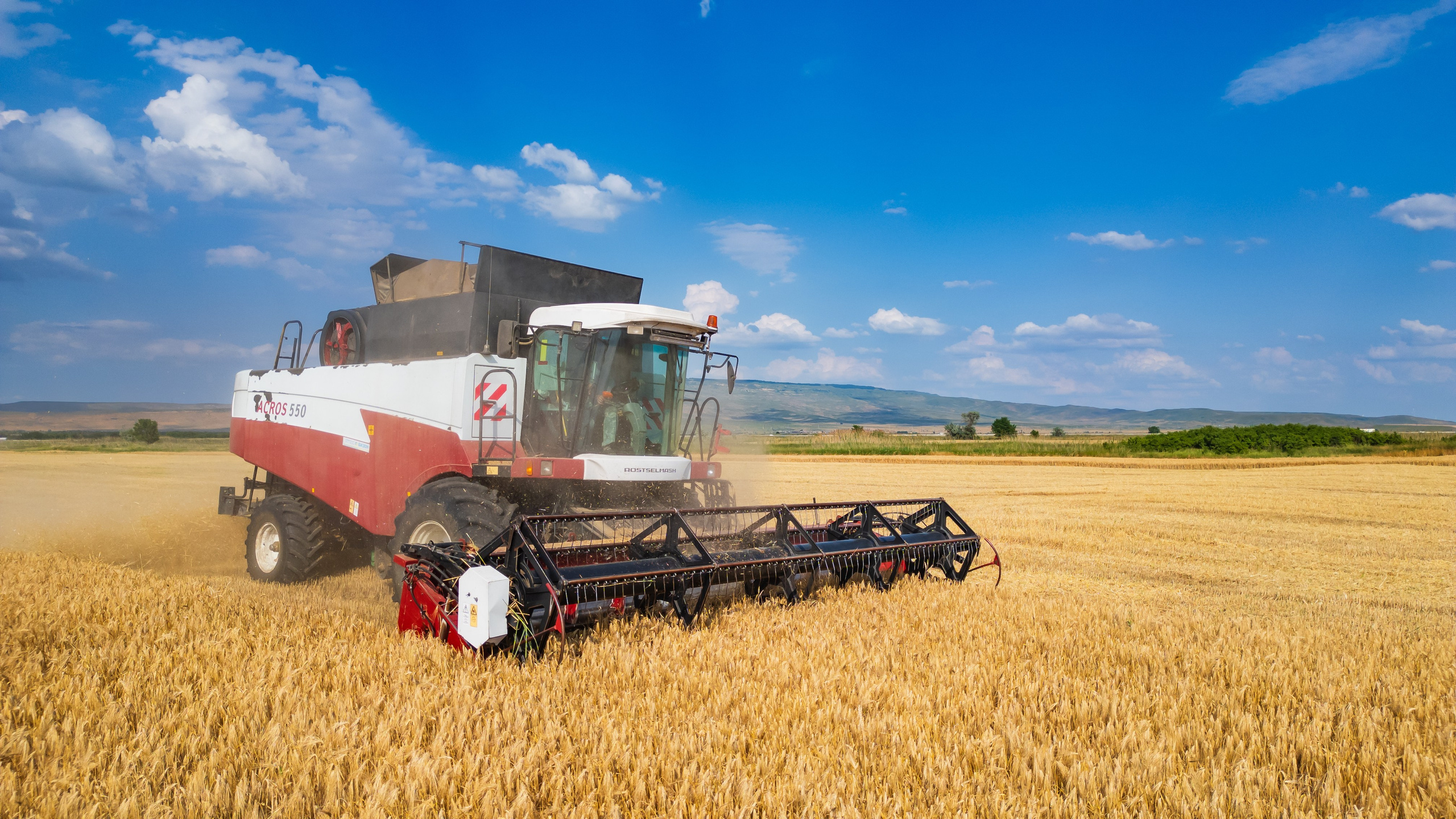 Проекты. Профессиональный фотограф Вячеслав Плацында | Липецк |