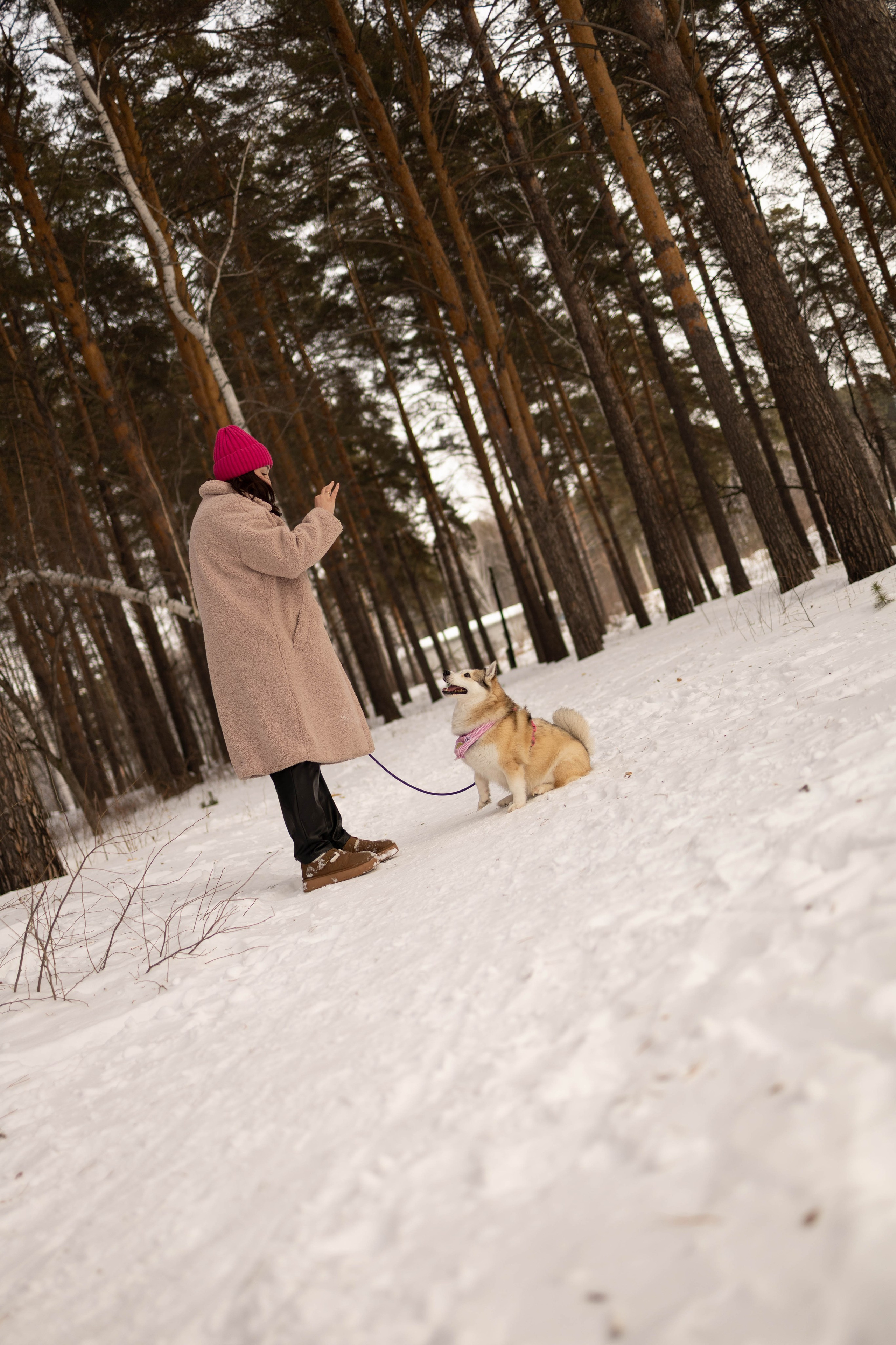 Варвара и Шелби. Фотограф-анималист в Екатеринбурге | Кристина