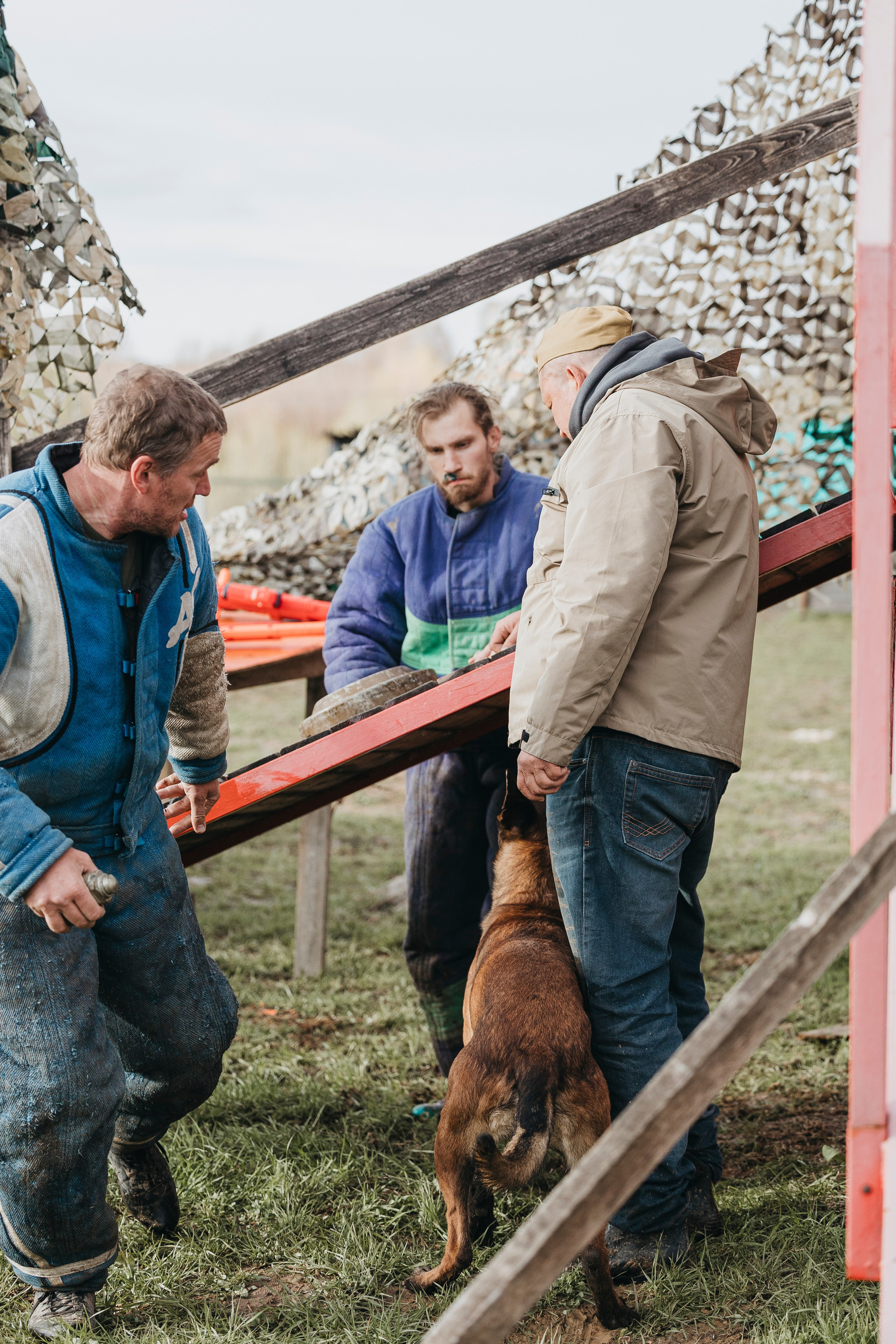 09.05.25 Вологда соревнования. Фотограф-анималист Анна Маринич