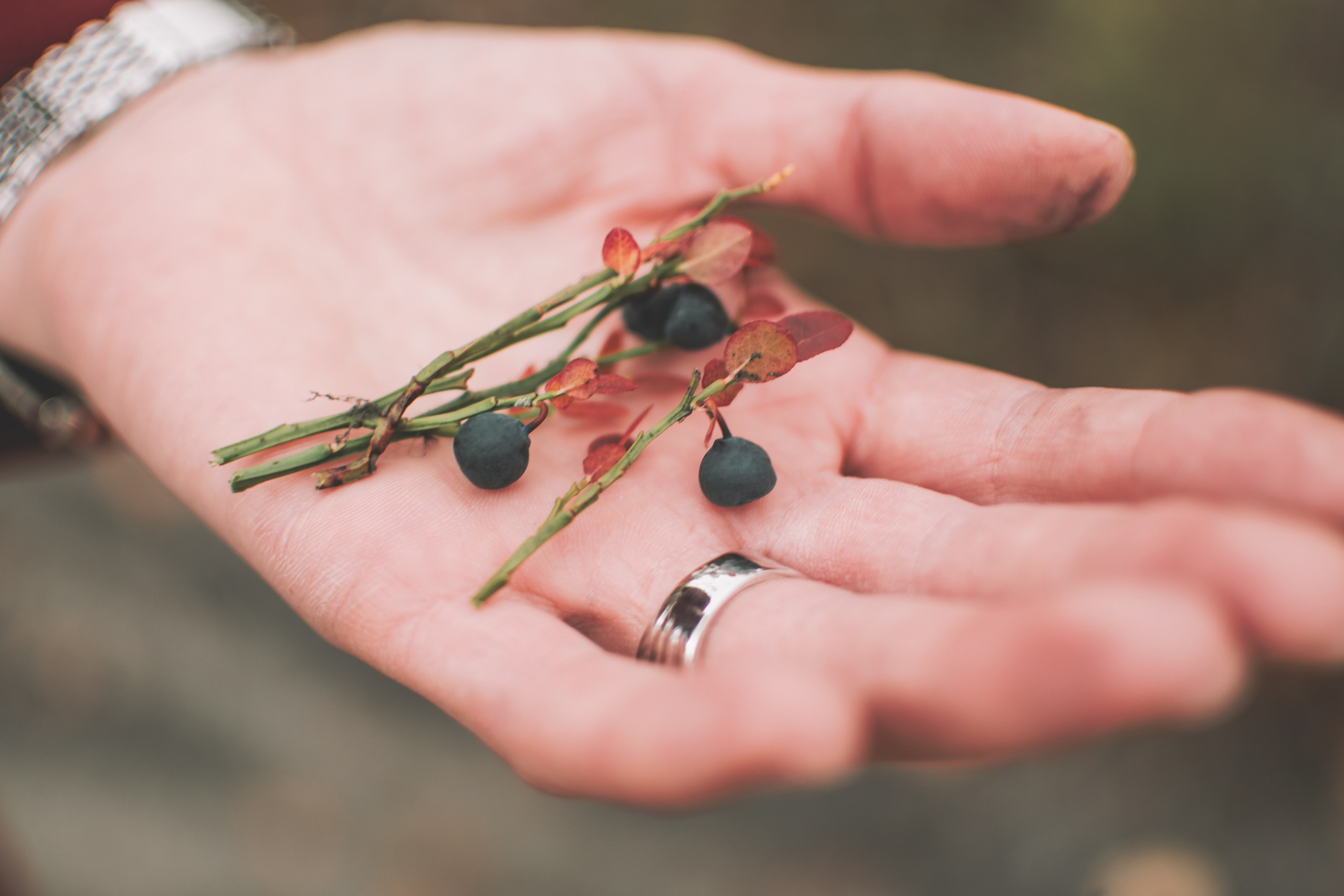 Муслимат. Семейный и свадебный фотограф Губкинский и Ставрополь