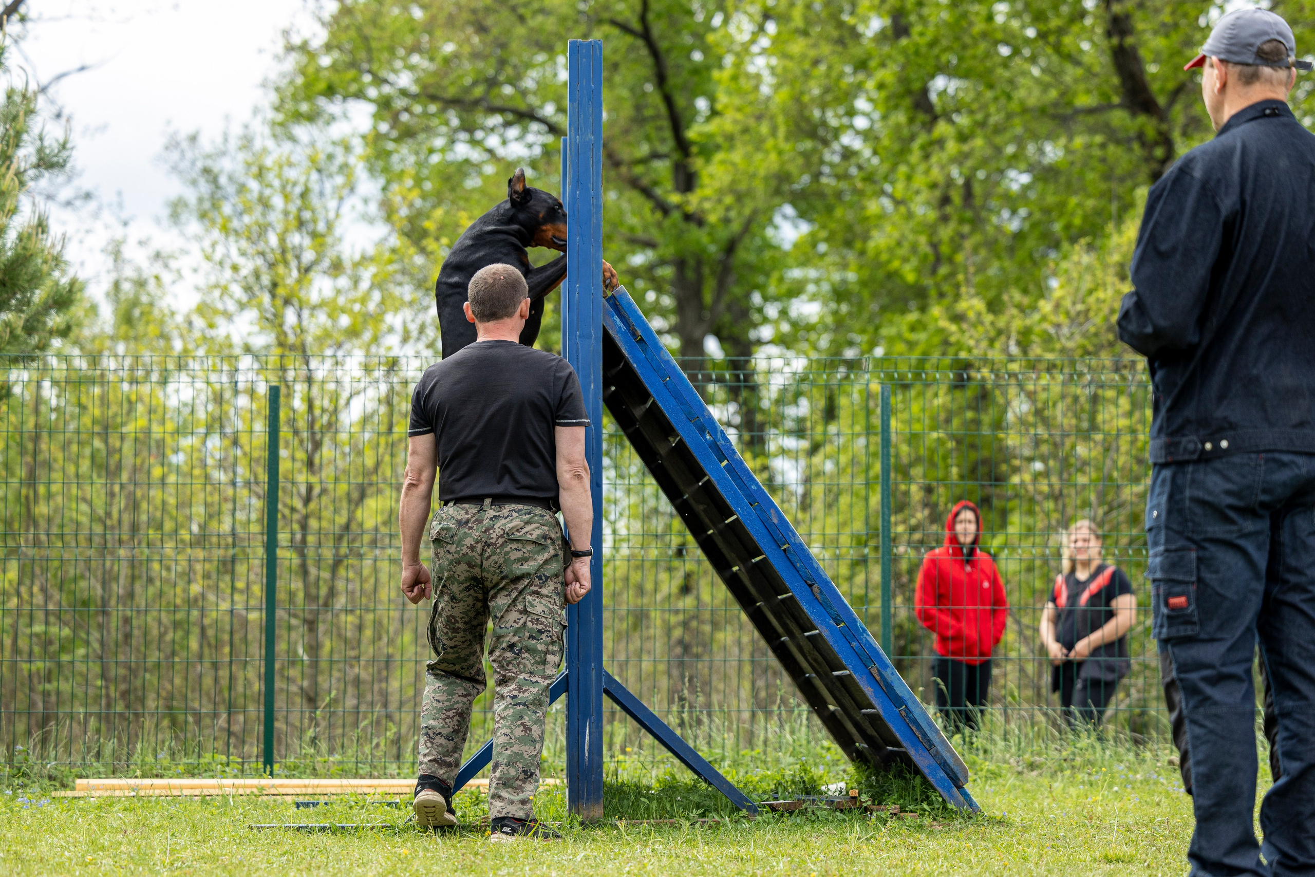 Испытания по мондьорингу в Нижнем Новгороде. Фотограф-анималист Анна Маринич