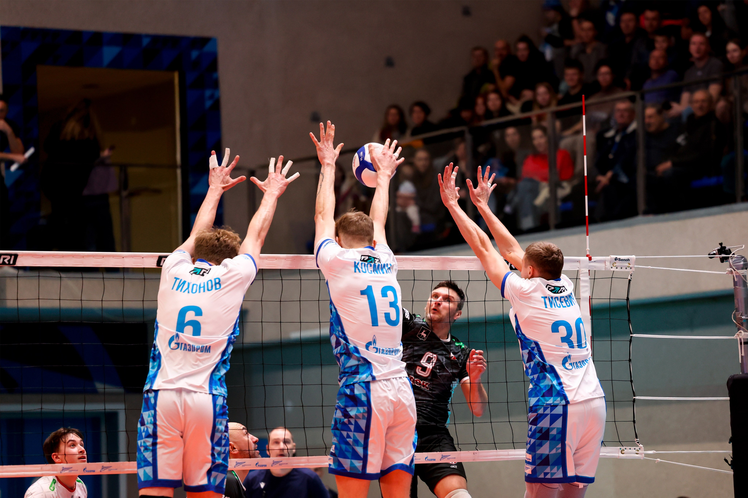 ВК Зенит — ВК АСК 15.03.2025. Спортивный и репортажный фотограф Антон Тереханов