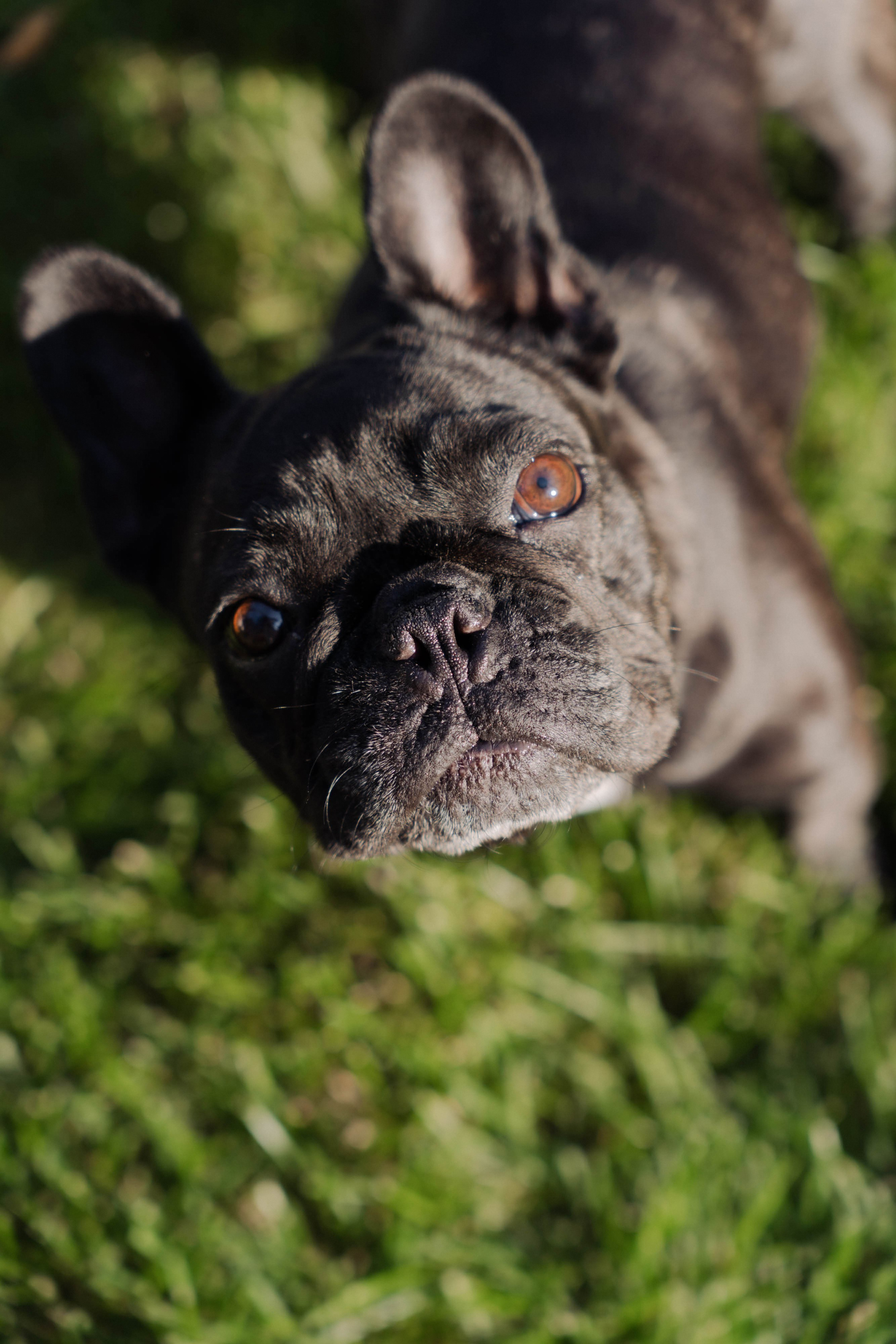 День рождения Марии. ФОТОГРАФ КСЕНИЯ СОСНОВСКАЯ