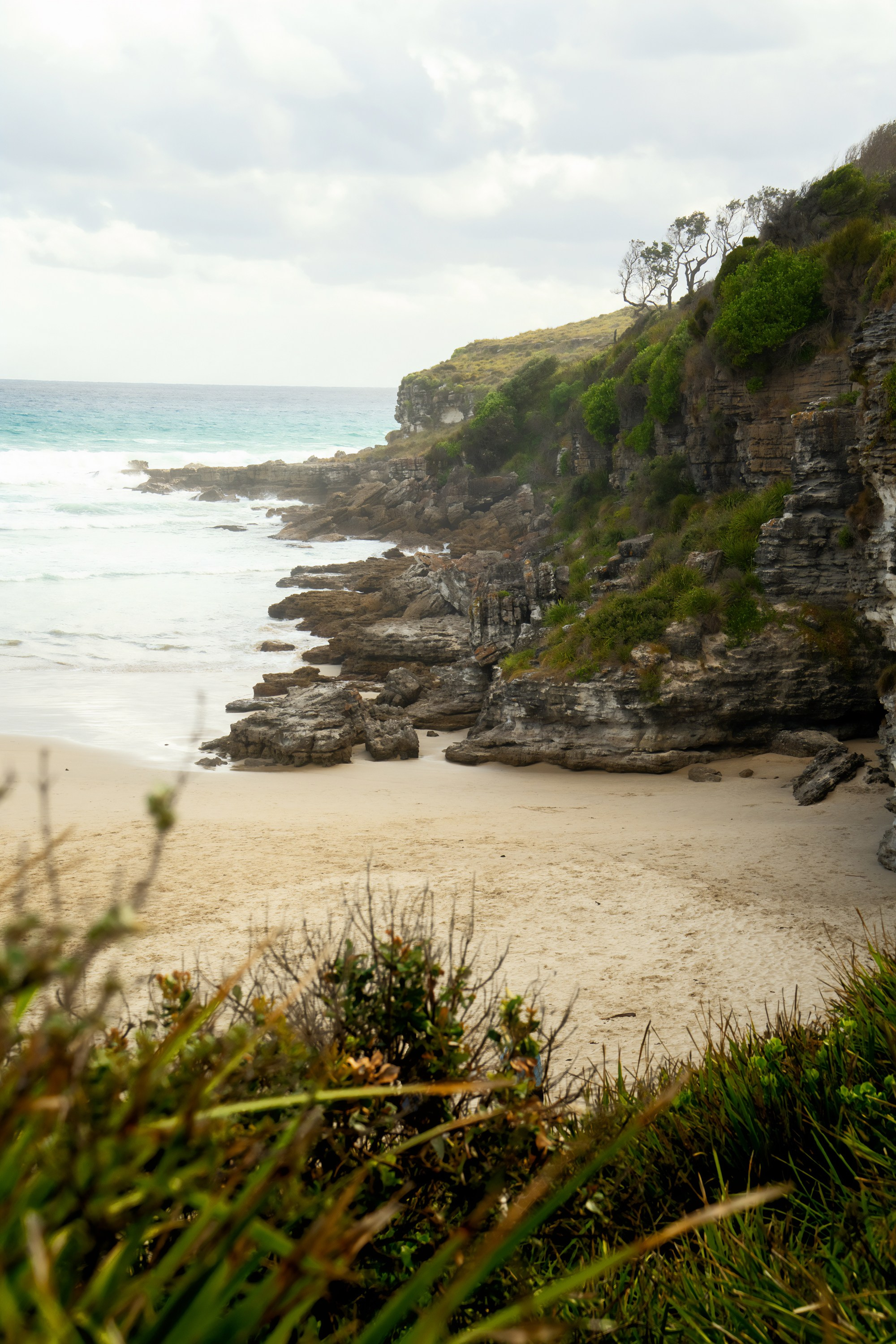 Австралия. Фотограф в Хабаровске. Фотография за 24 часа