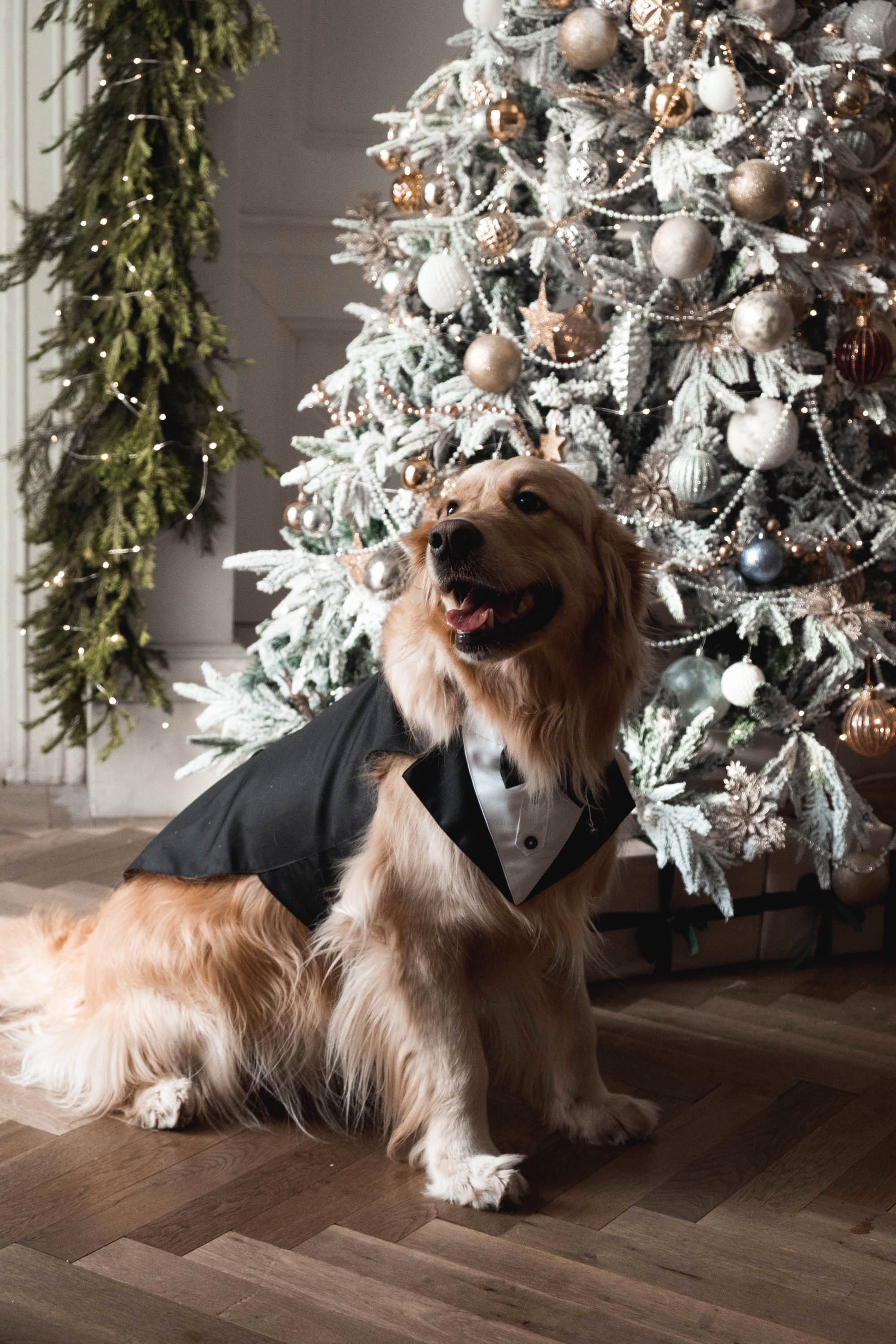 Филип & Юлия. Свадебный и семейный фотограф в Тюмени Екатерина Дубровина