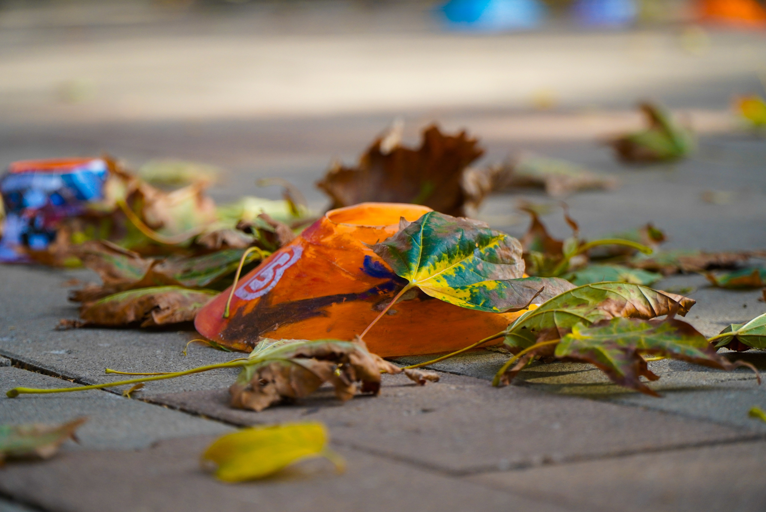 21 сентября 2024. Роман Капилюшов. Бег. Фото. Видео. г. Люберцы