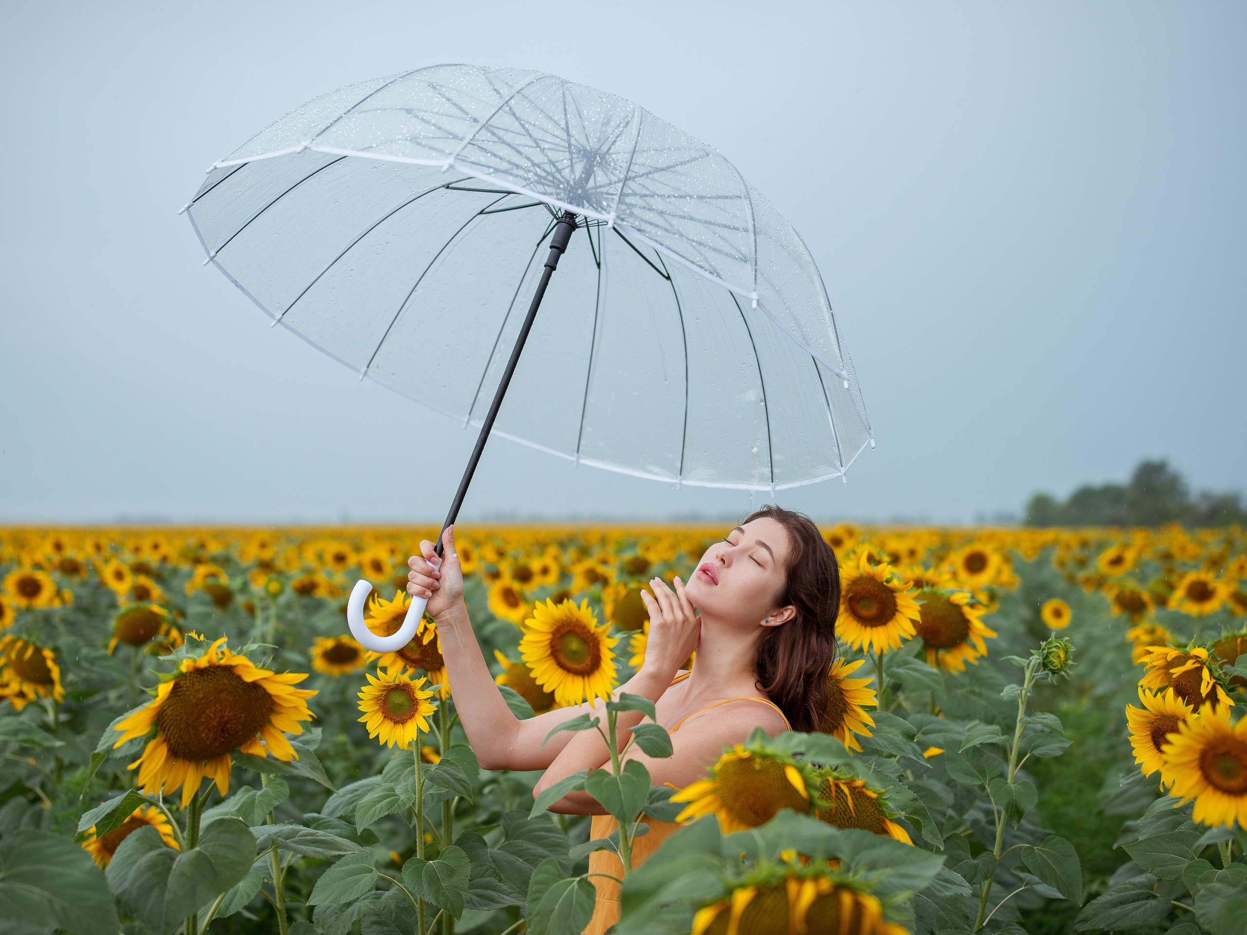 Фотограф в Севастополе: выезд в подсолнуховое поле в Саках и Евпатории