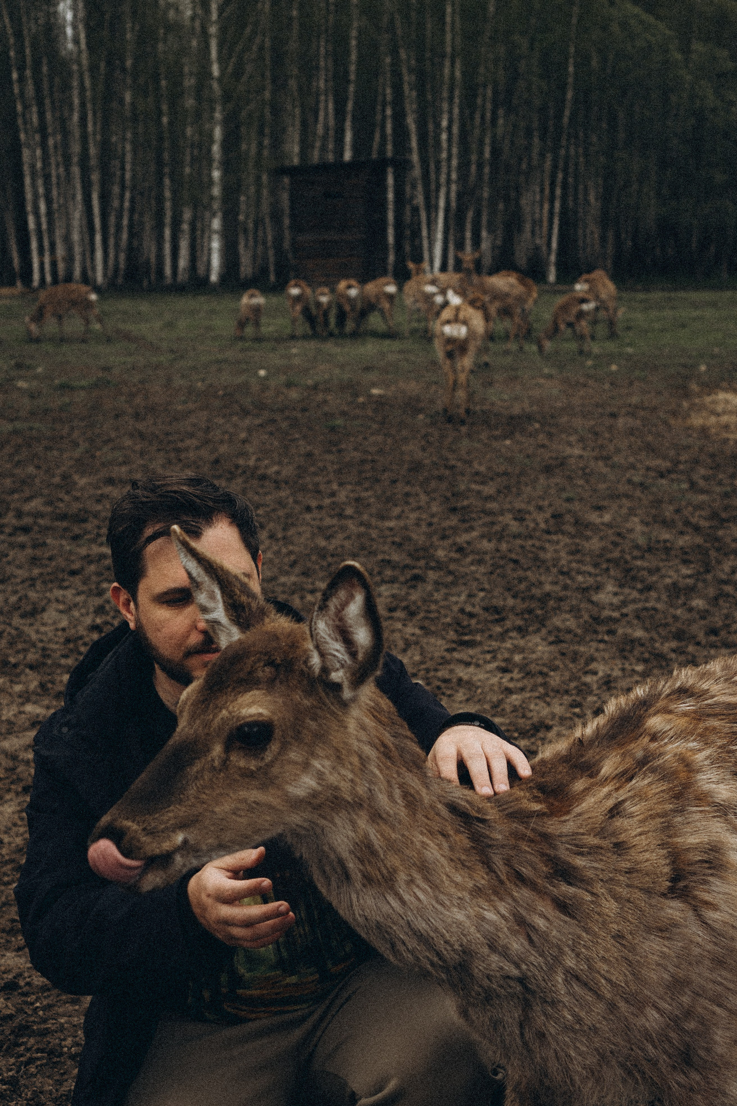 ОЛЕНЬЯ ФЕРМА В ТВЕРИ. Профессиональный фотограф, Санкт-Петербург — Виктория Богомолова