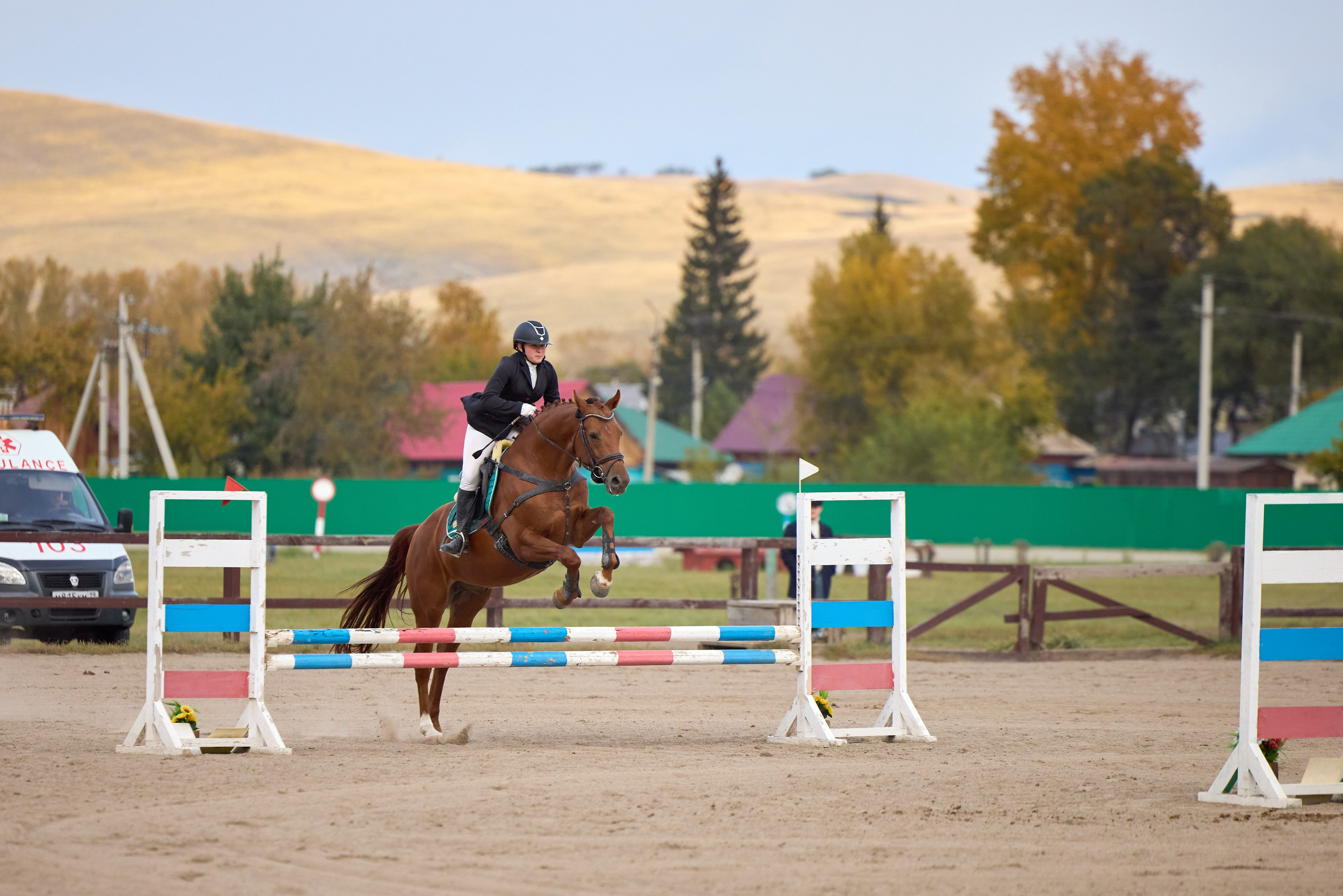 Конкур на Абаканском ипподроме. Ваши Истории. Фотограф/видеограф. Абакан