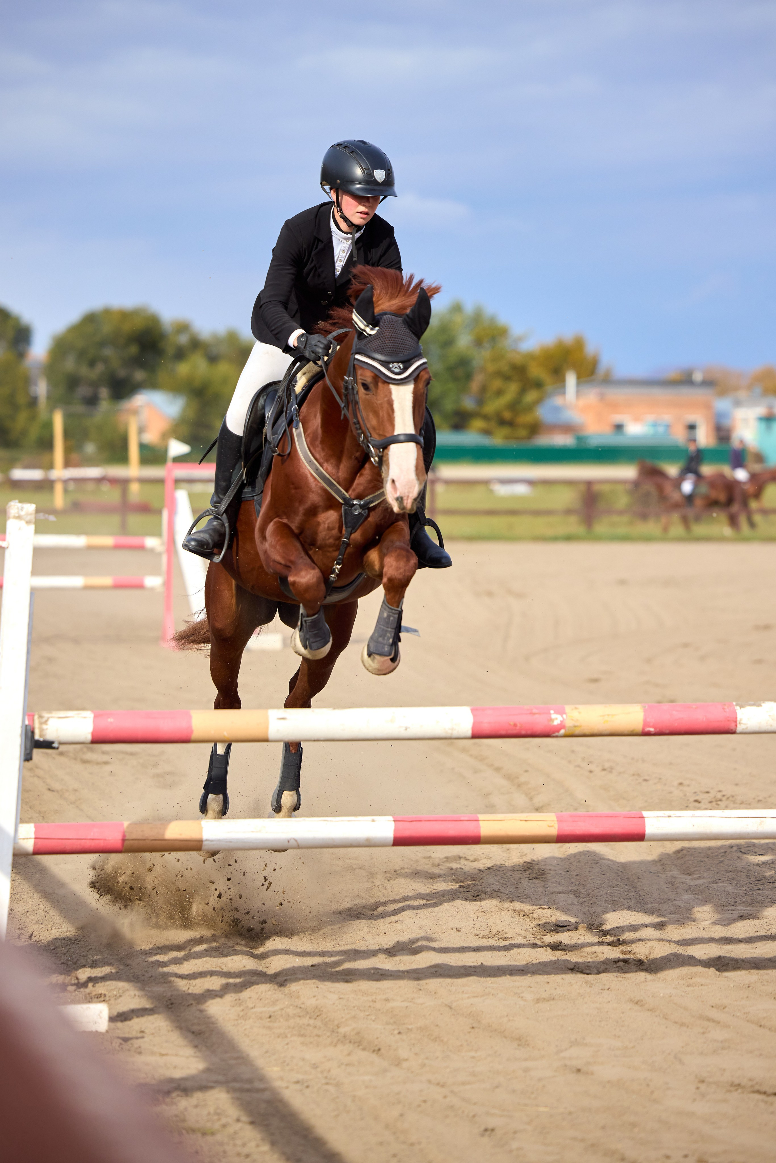Конкур на Абаканском ипподроме. Ваши Истории. Фотограф/видеограф. Абакан