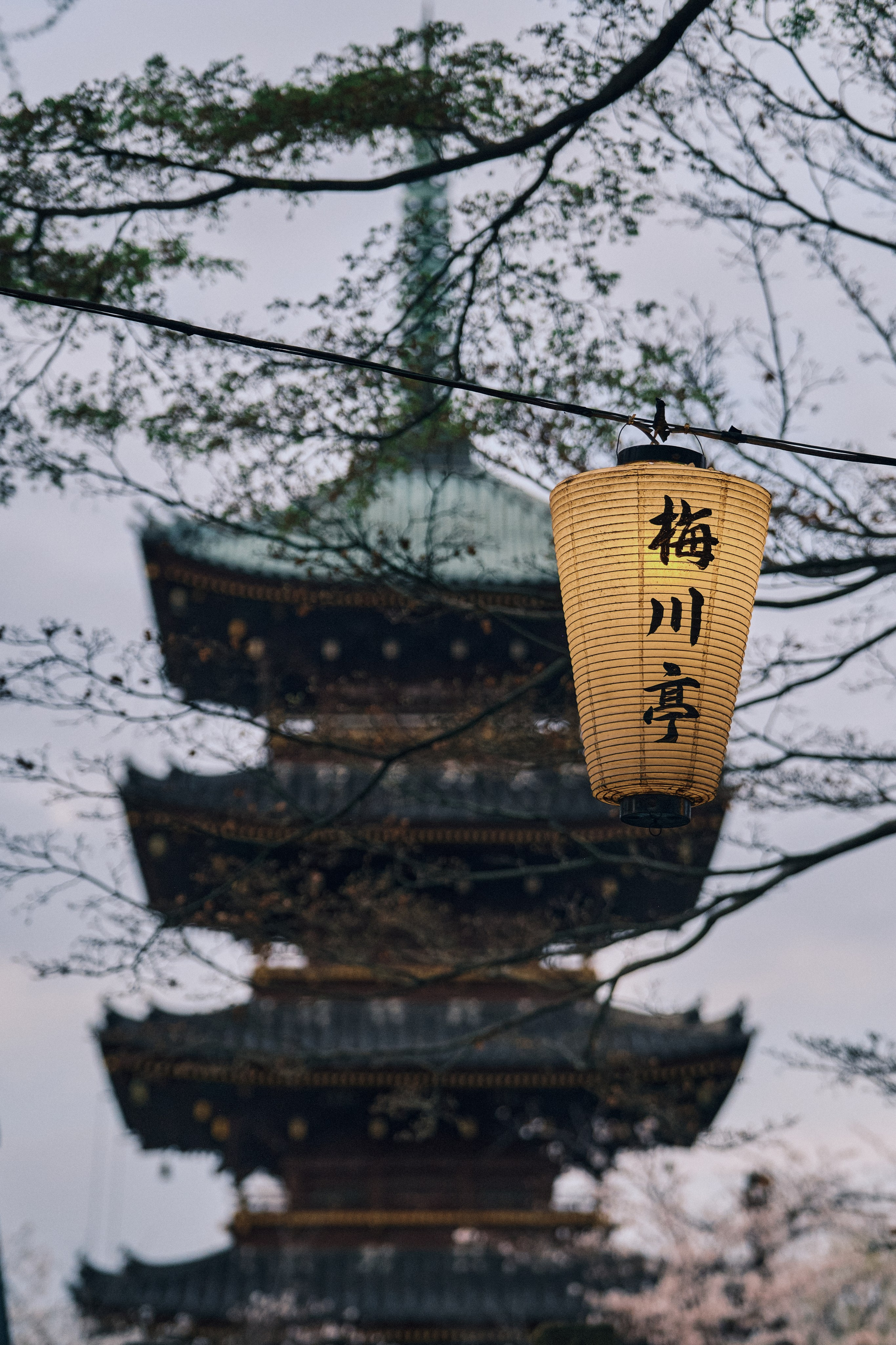 Japan / Osaka≫Kyoto≫Tokyo. Aleksandr Kobtsev