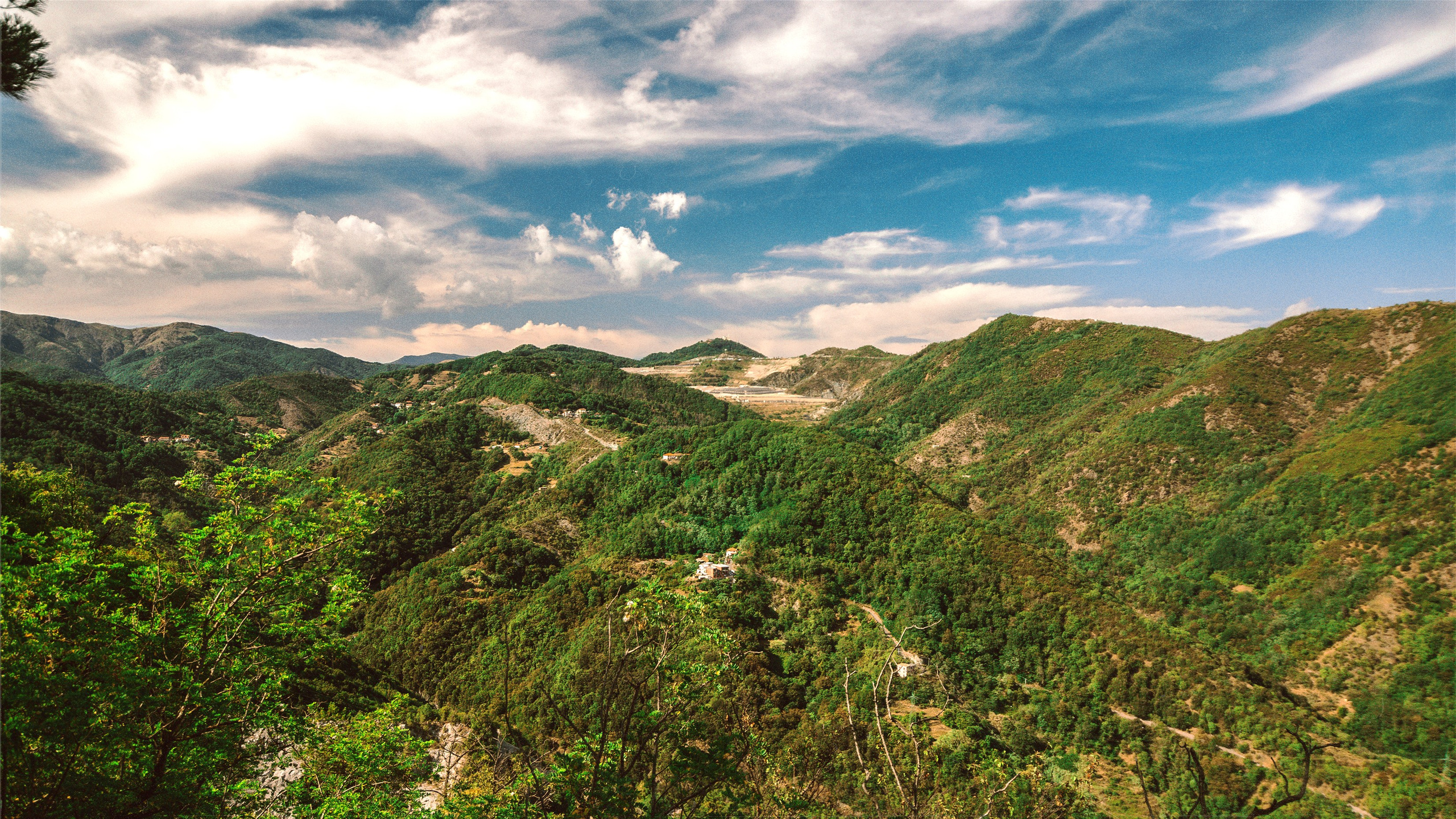 N a t u r e. Your photographer