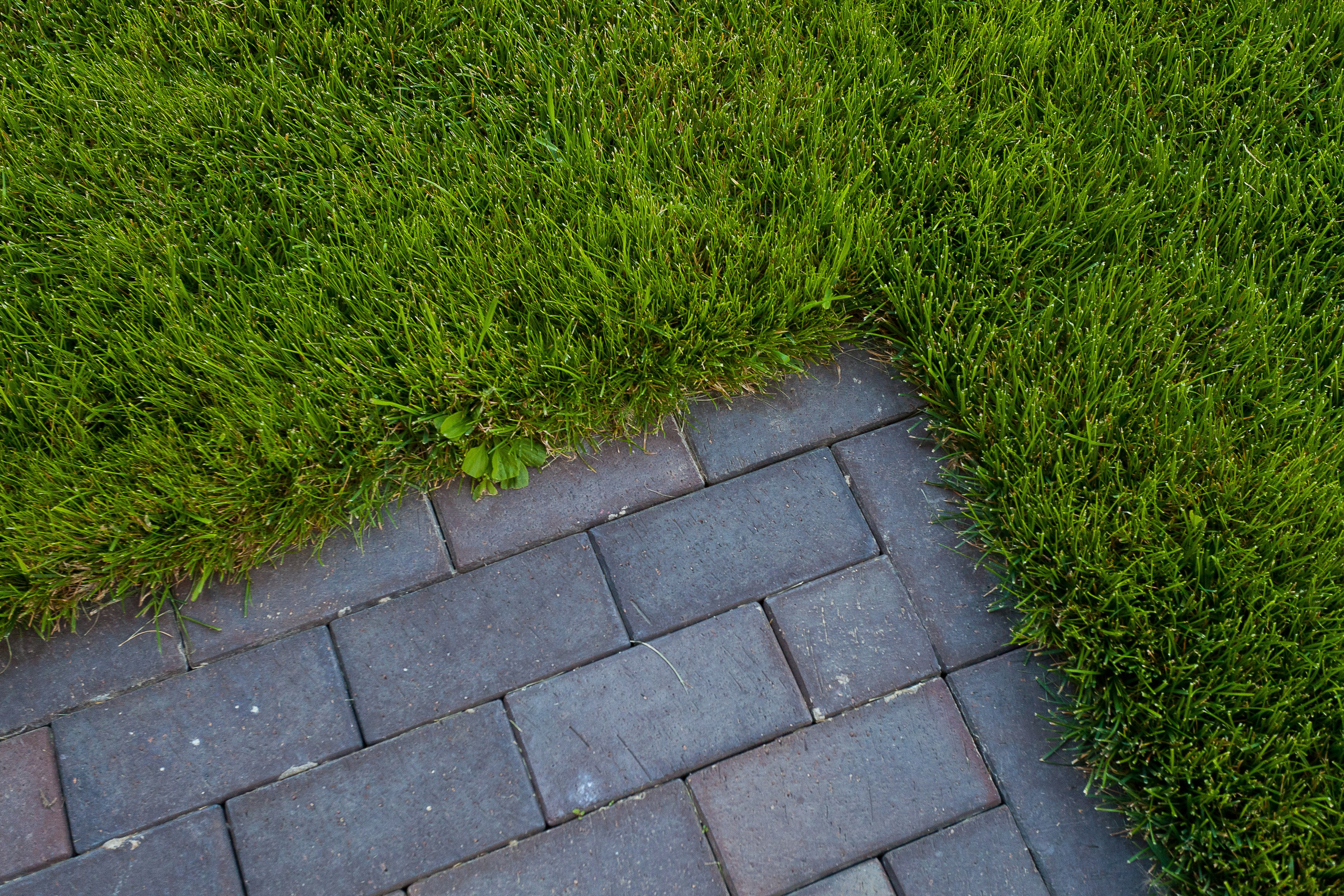 Ландшафт. Новый год 2026