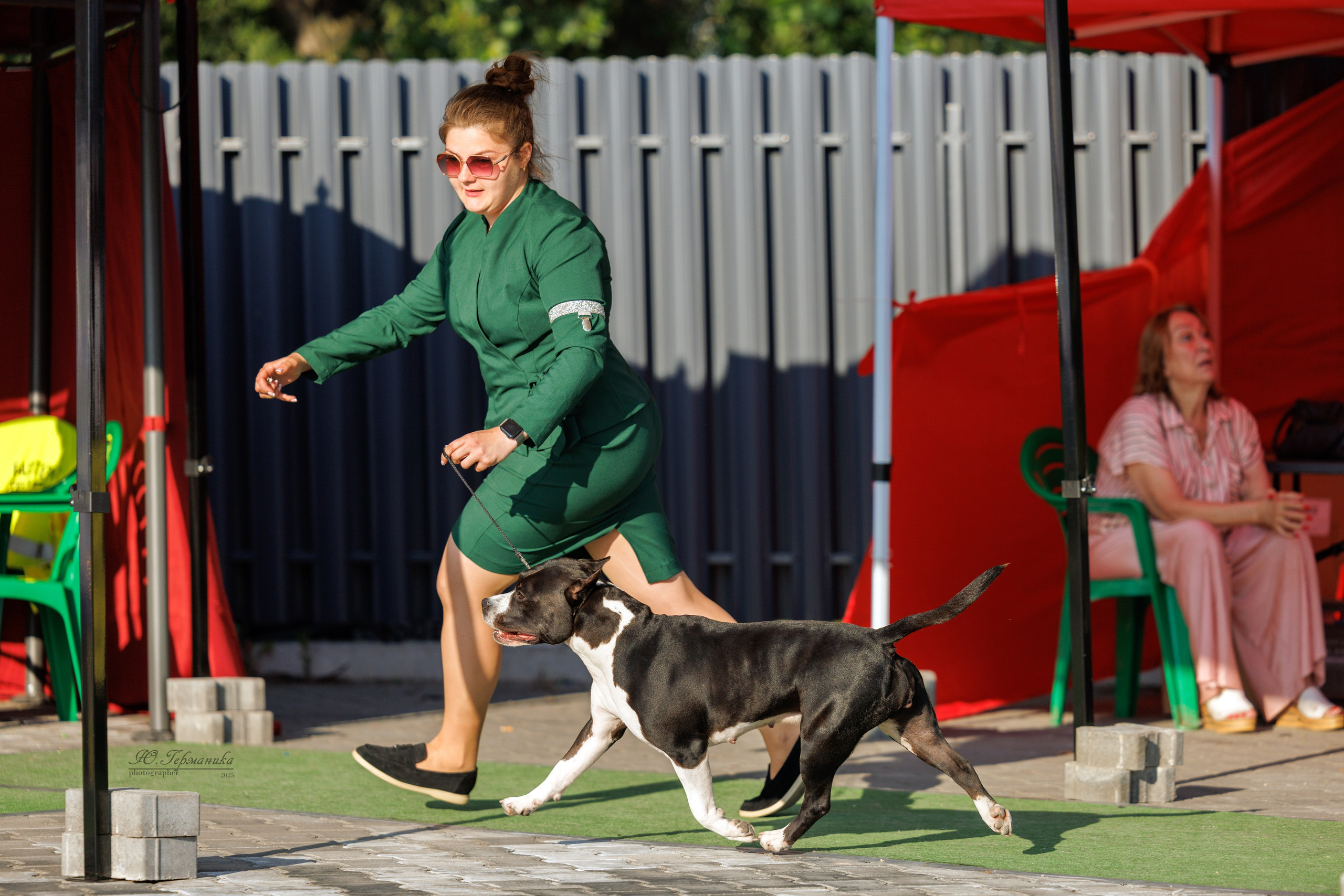 Калининград 25-27.07 Волгоград 1-3.08 2025. Фотограф-анималист Юлия Германика