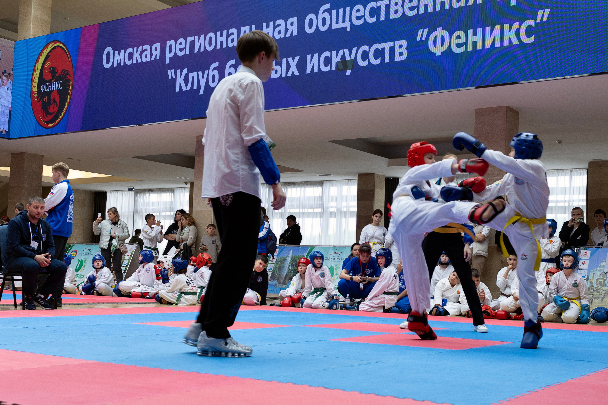 Фото турнира по Тхеквондо, проводимого в г. Железноводске. Медиапродюсер, фотограф в Минеральных Водах —Виктор Холодов