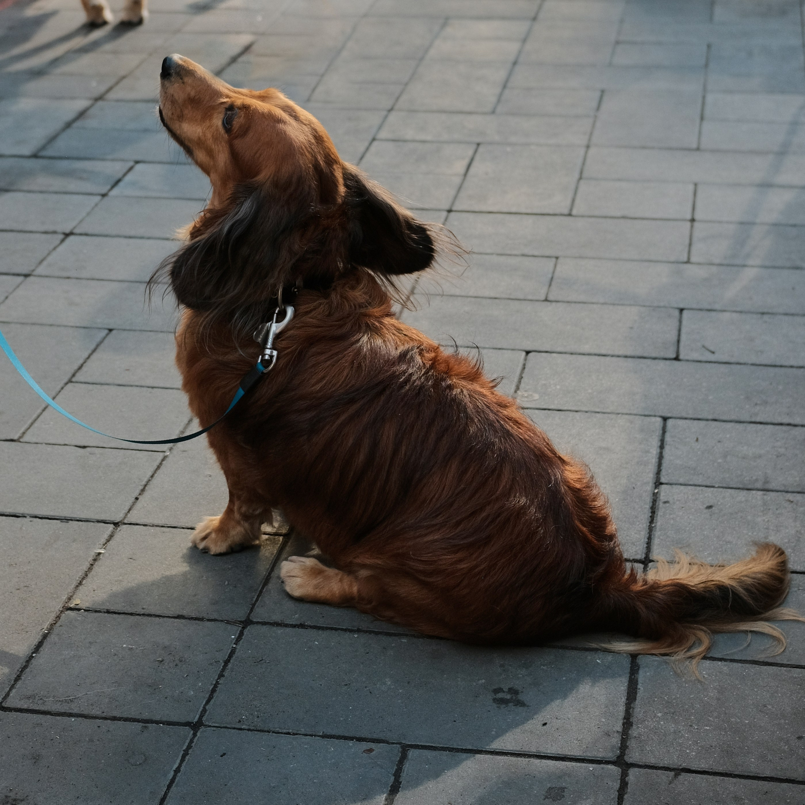 Rostov-on-Don. Creative travel photographer — Berg Daria