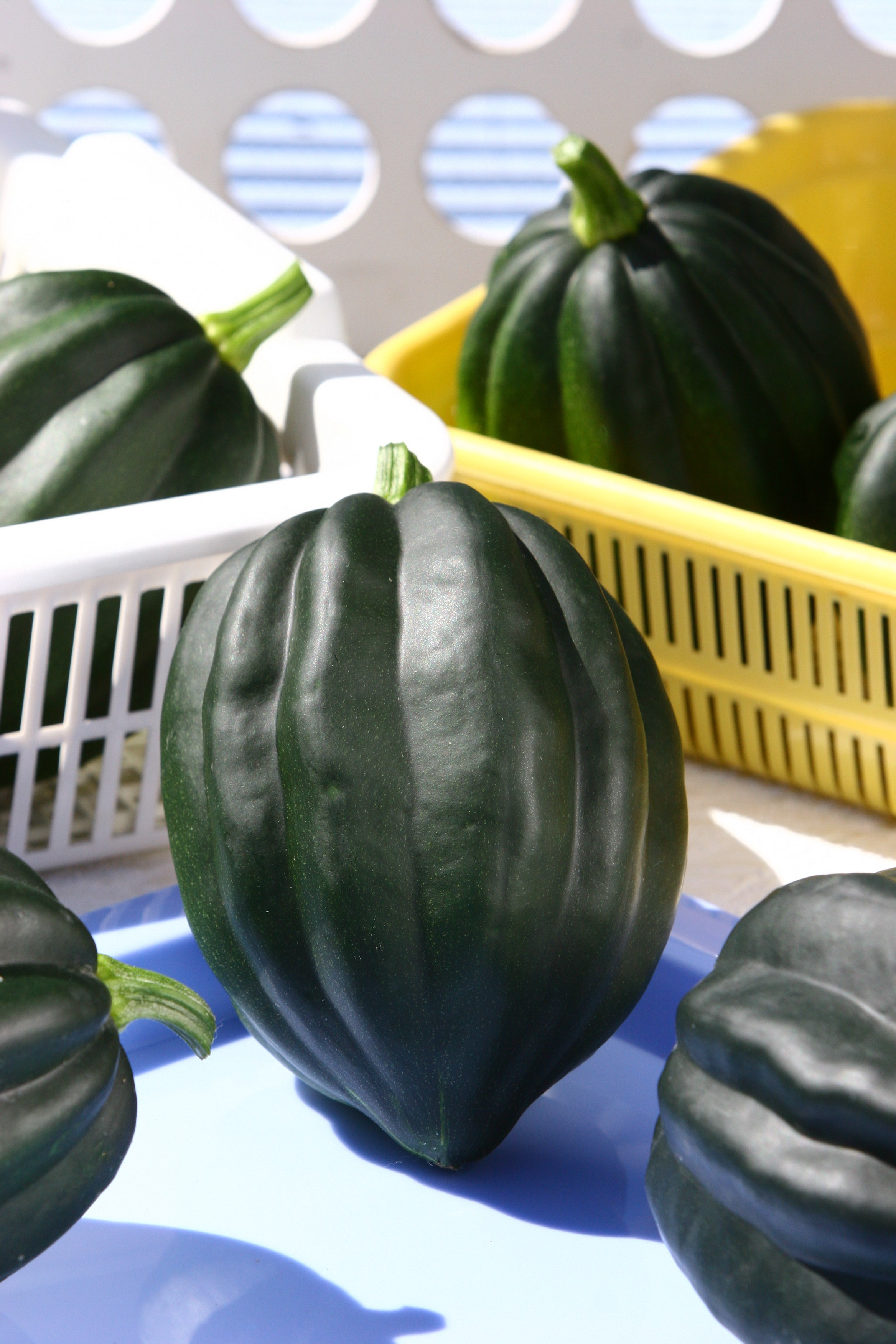 Product photography. The Website of the Photographer Vitaly Deni