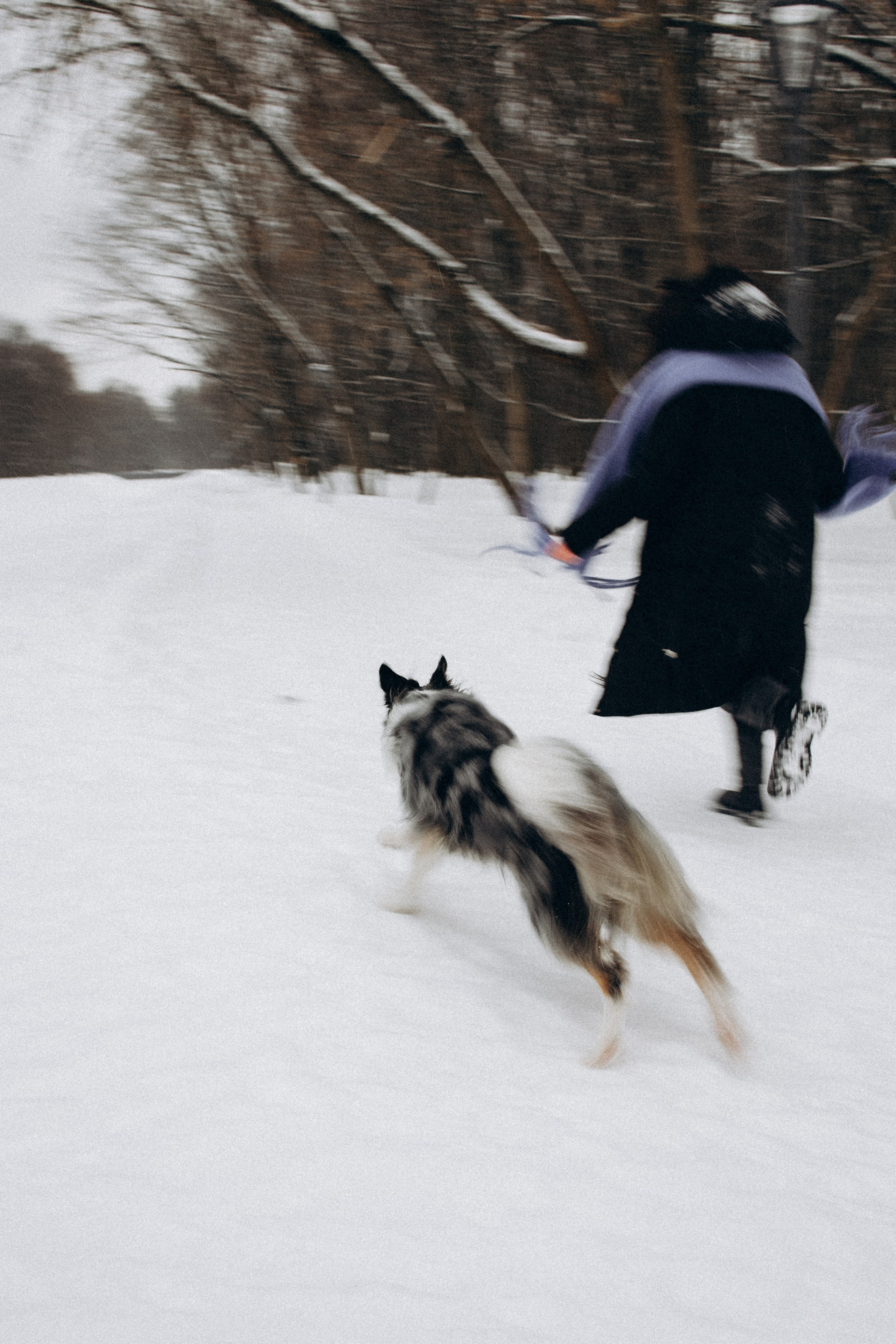 Настя и Тор. Фотораф — анималист Мария Шистка