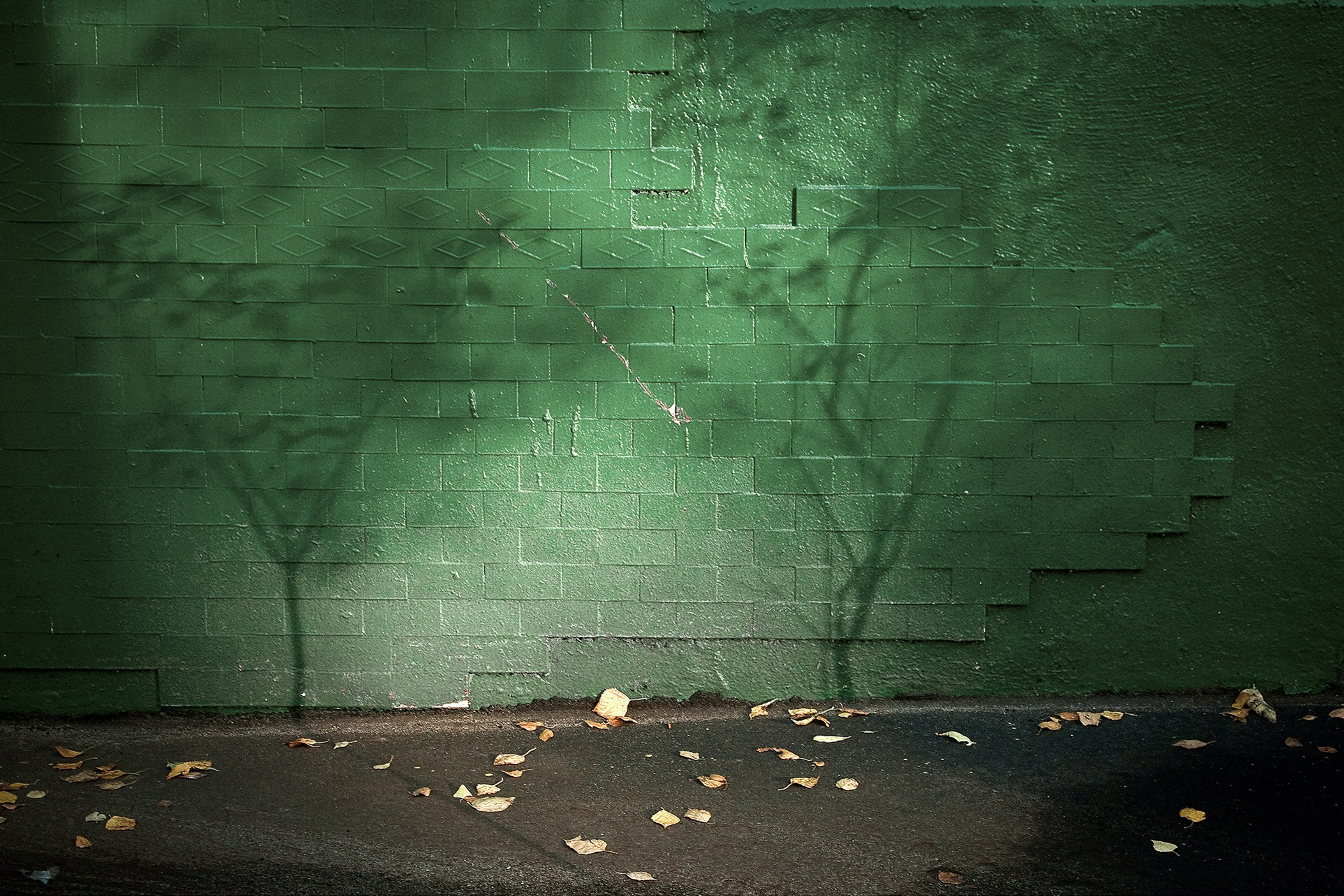 Симуляторы (Каталог № 1). Главная