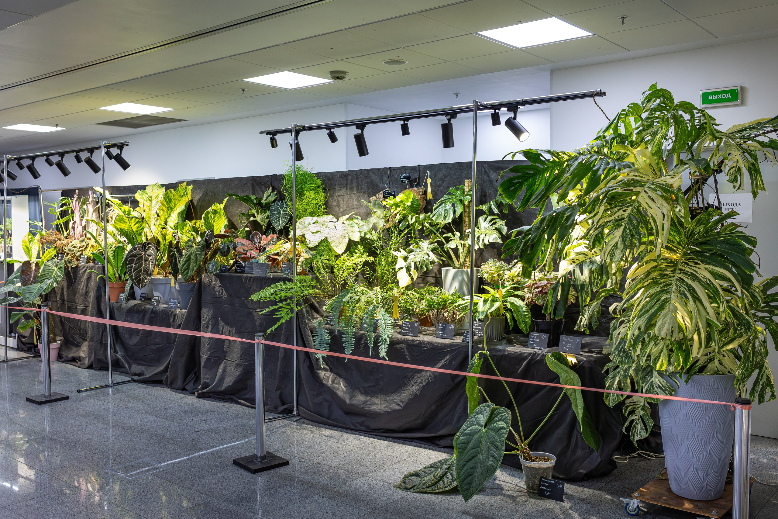 Монстериум 11–12 октября. Александра Куликова фотограф, Москва