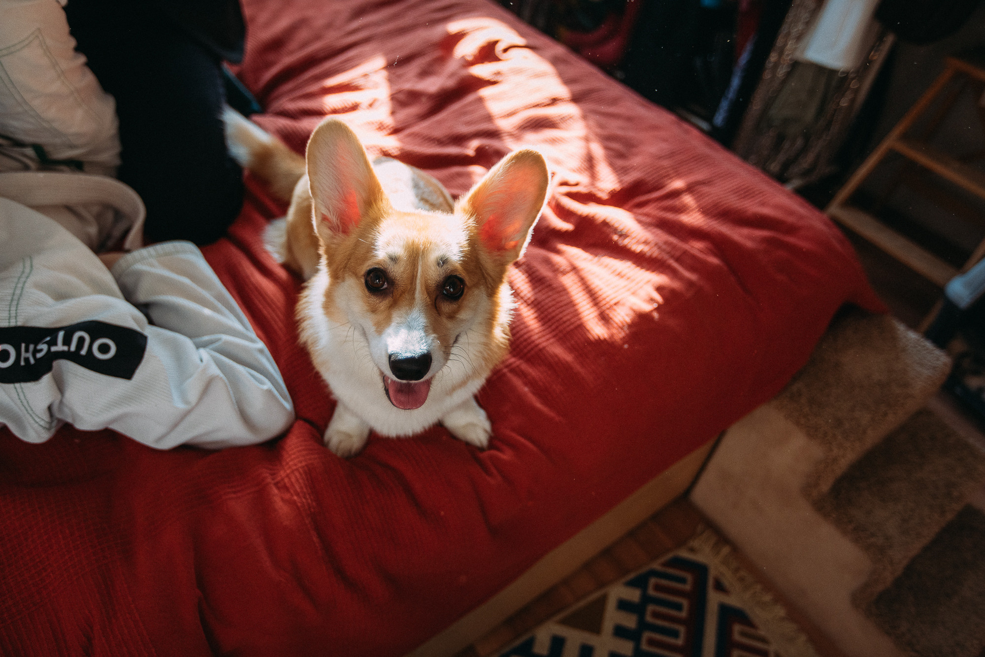 Завтра свадьба. Свадебный и семейный фотограф в Екатеринбурге Илья Рихтер