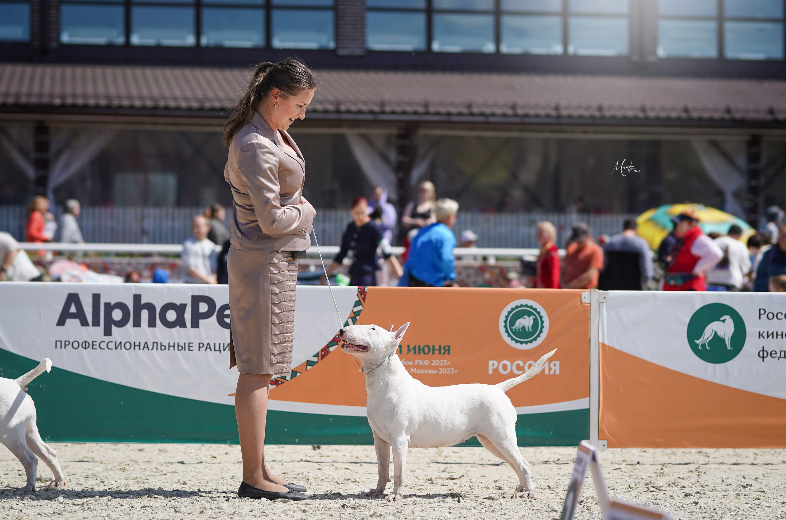 Выставки 2023. Фотограф-анималист в Санкт-Петербурге Яна Мартынова