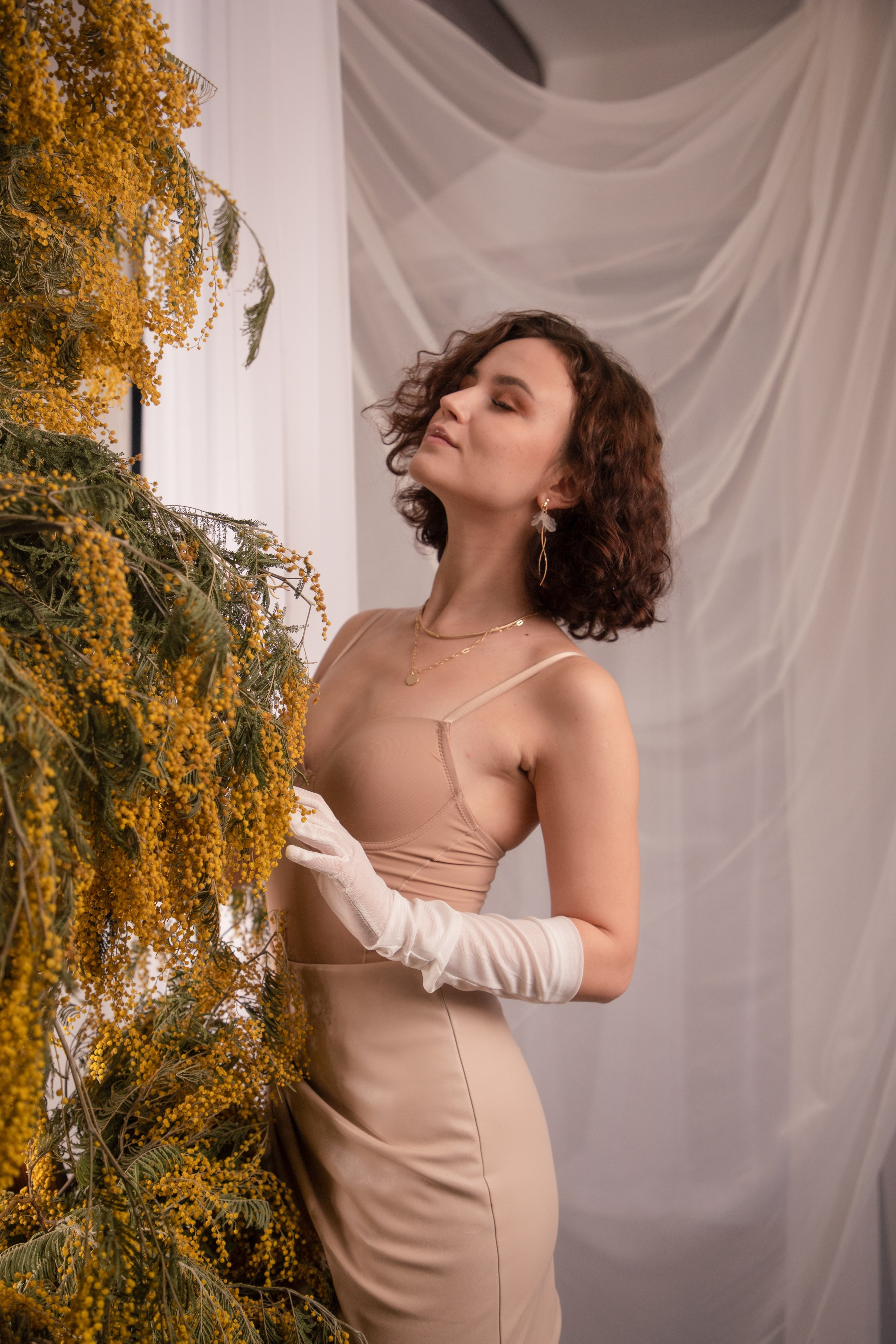 Мимозы. Фотограф Алексей Шуля — портфолио