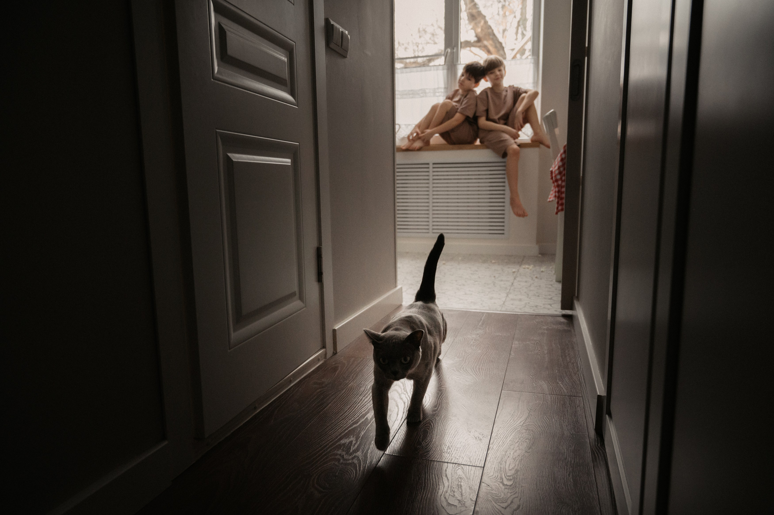 Дома. Фотограф Ким Ангелина