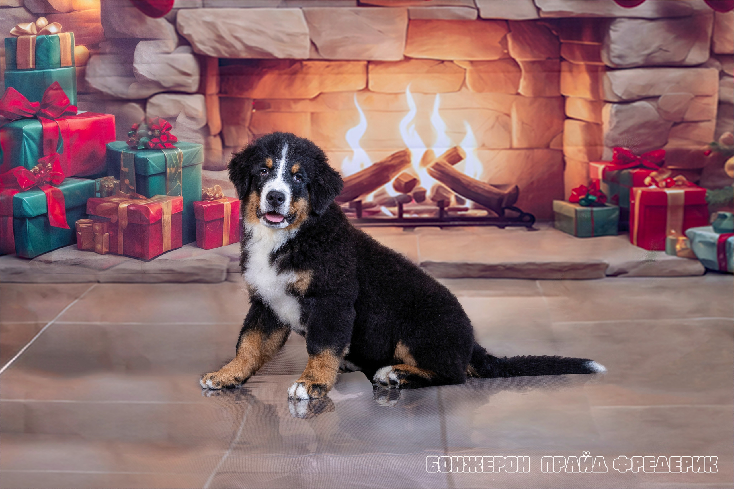 Бонжерон прайд. Фотограф 📸 семейный, предметный, репортажный