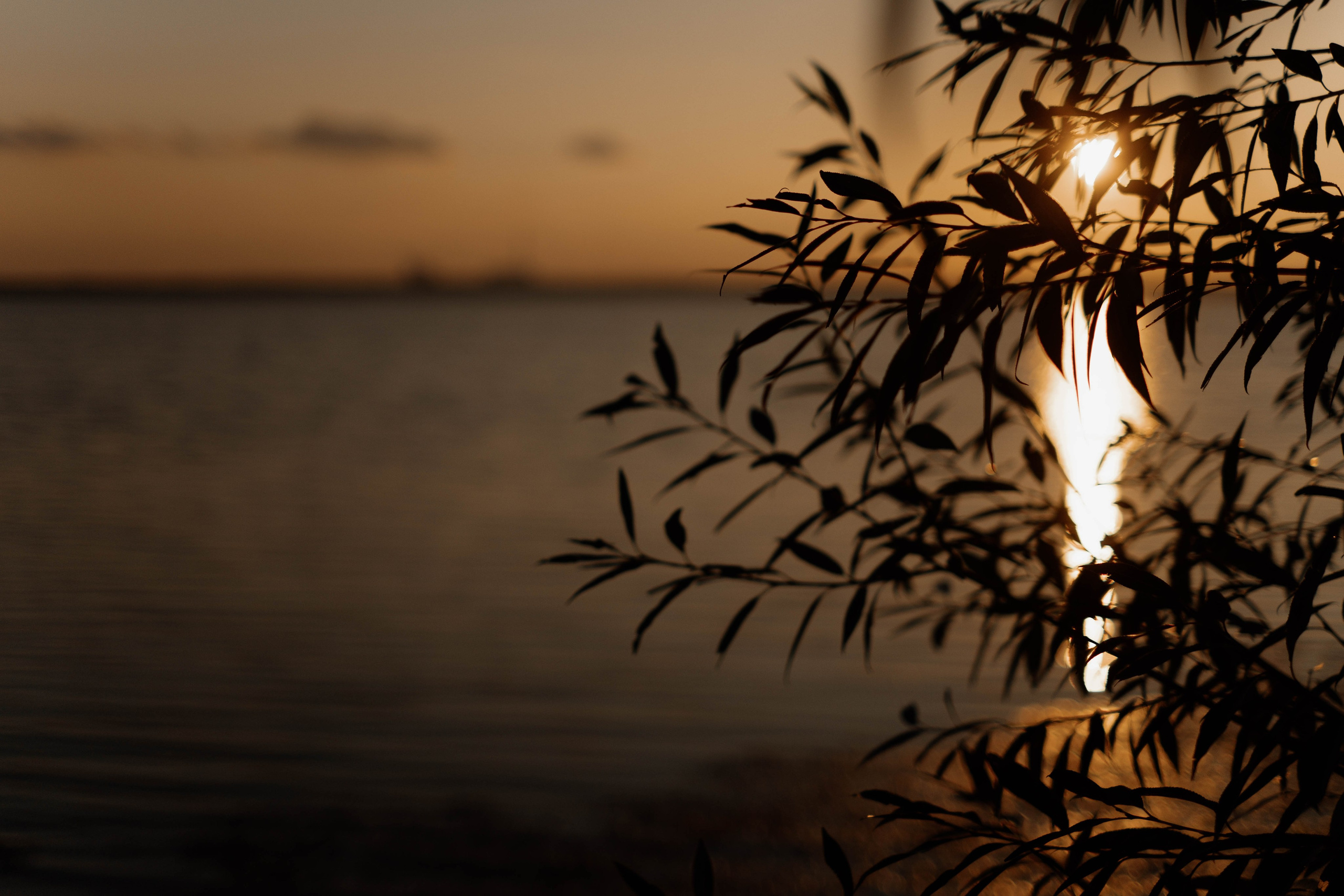 Айгиза и Артемий. Фотограф Челябинск Юлия Ермакова