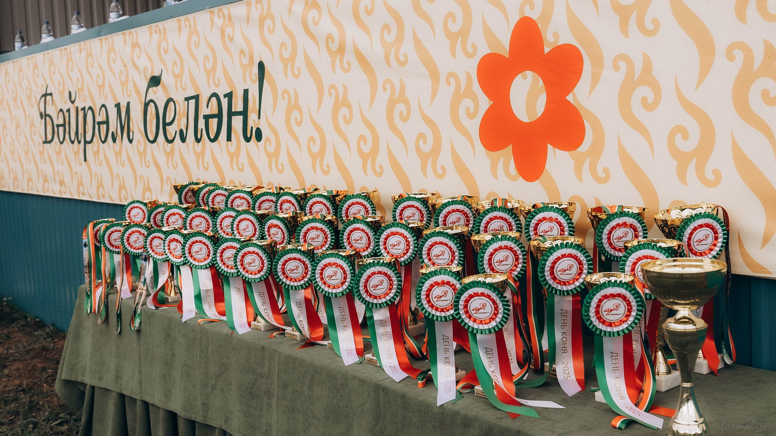 День Коня. Алиса Никитцова | Фотограф в Казани