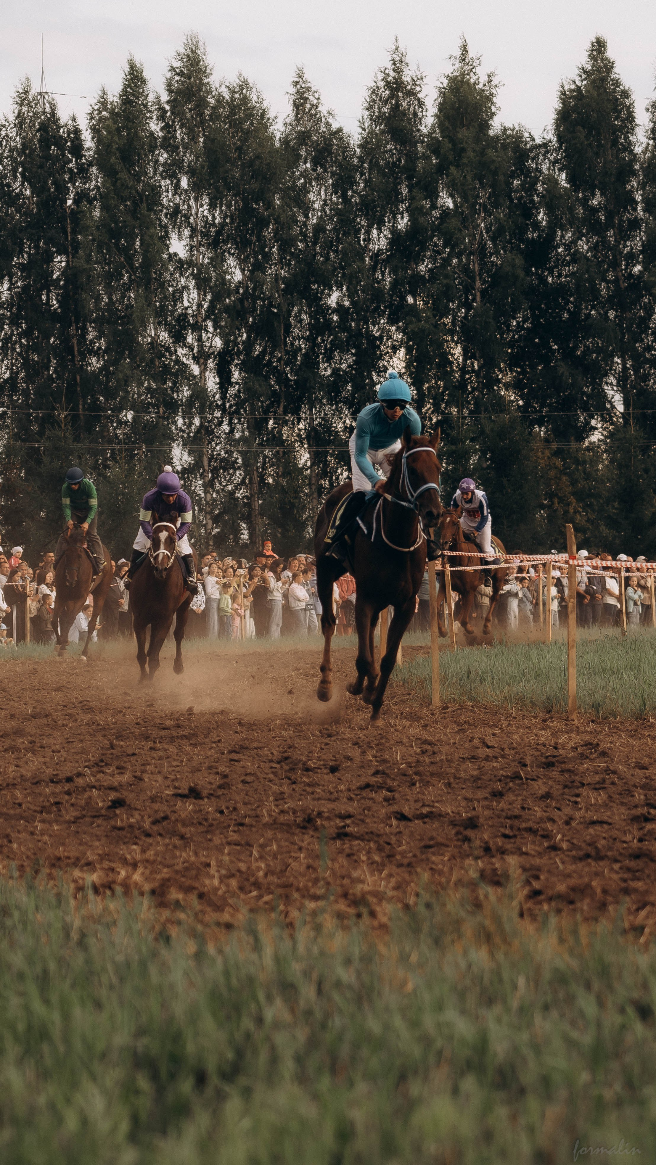 День Коня. Алиса Никитцова | Фотограф в Казани