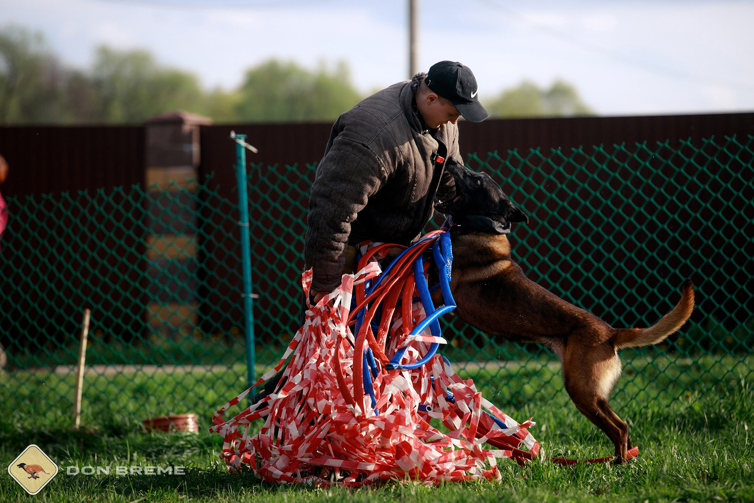 Семинар для фигурантов, день 2. Фотограф-анималист Mary Mart — Москва, Питер
