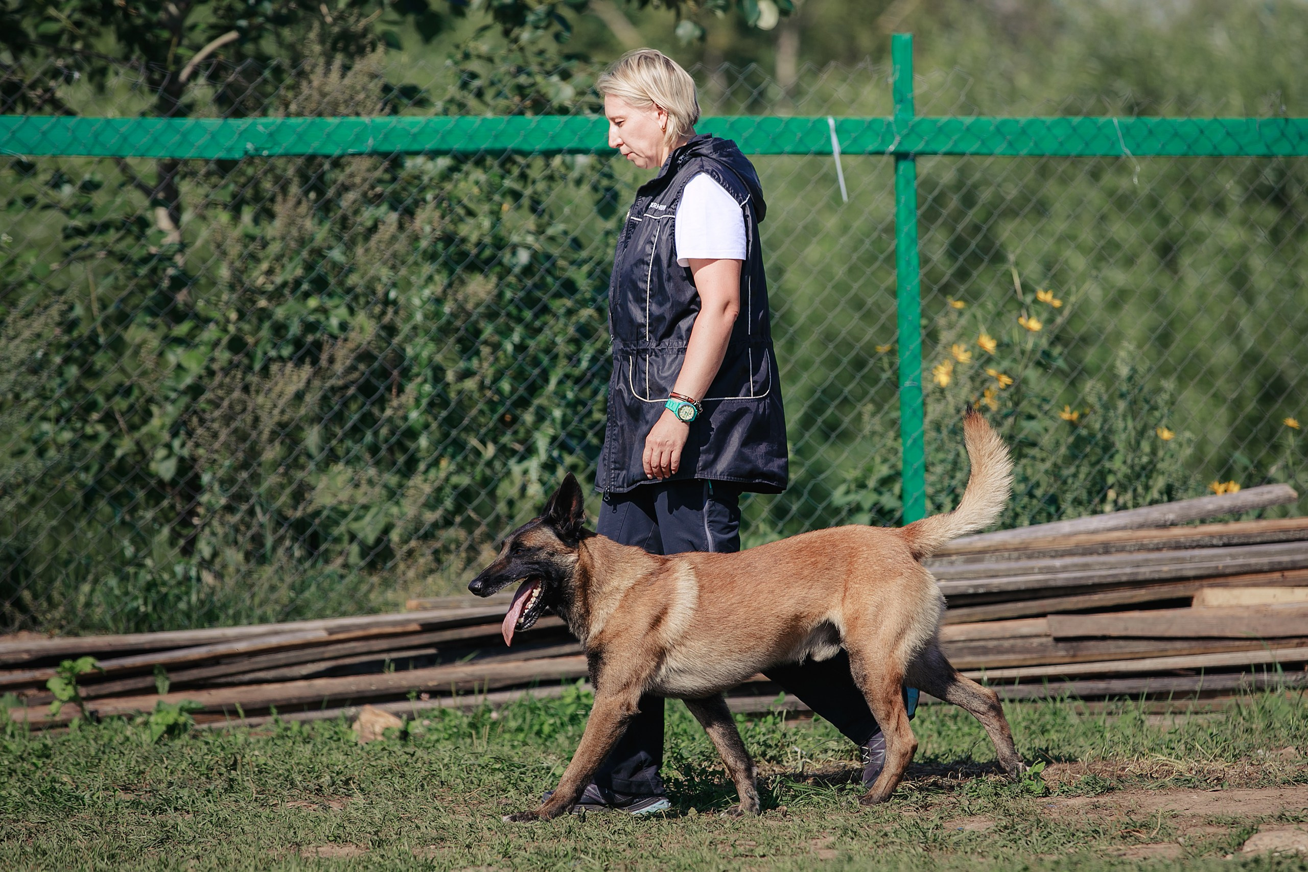 Мондьоринг М1, М2, М3, Вологда. Фотограф-анималист Mary Mart — Москва, Питер