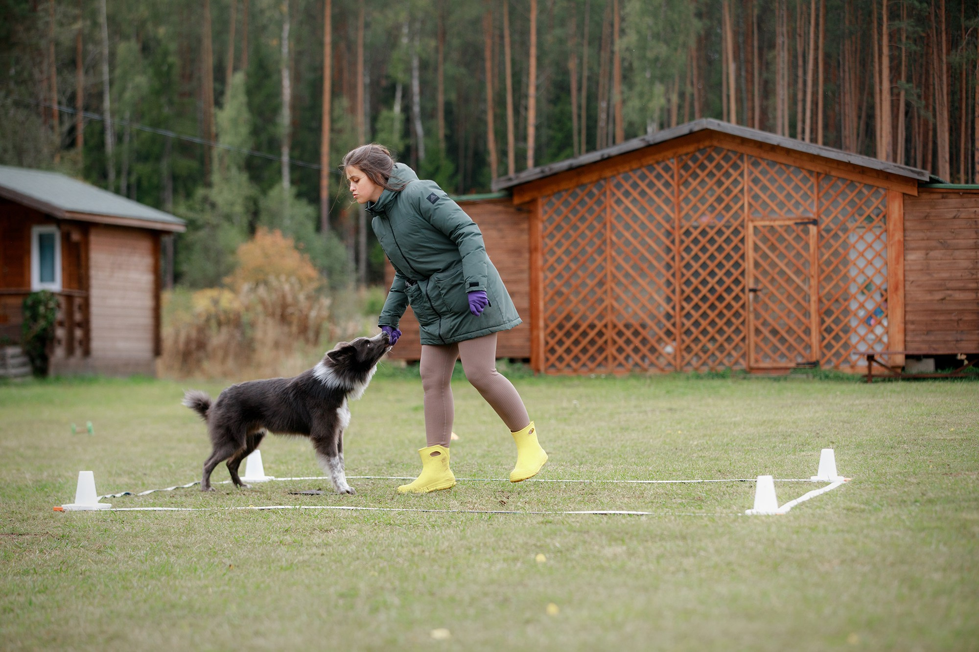 Лагерь по ОБД с Инной Баженовой. Фотограф-анималист Mary Mart — Москва, Питер