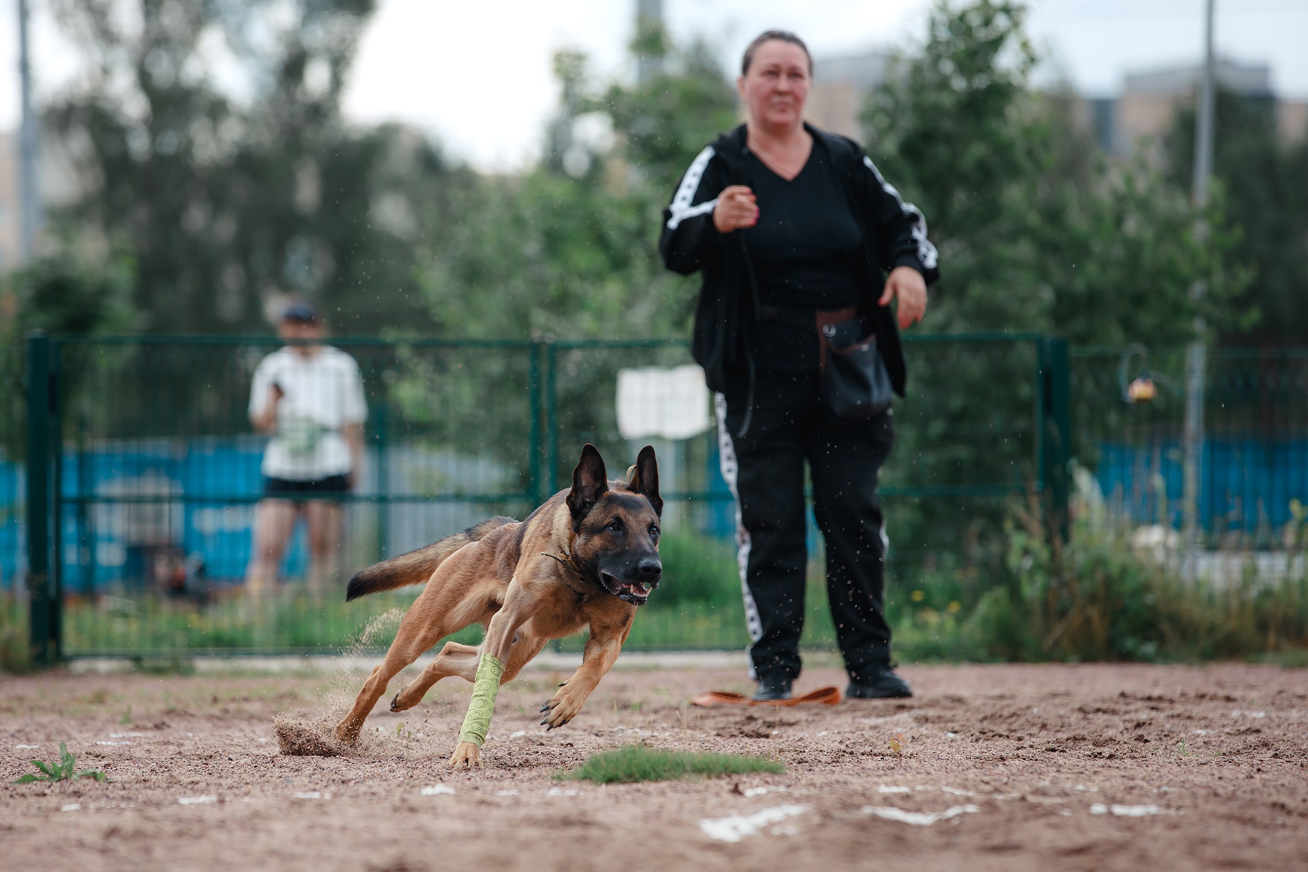 Питч&Гоу + веселые старты. Фотограф-анималист Mary Mart — Москва, Питер