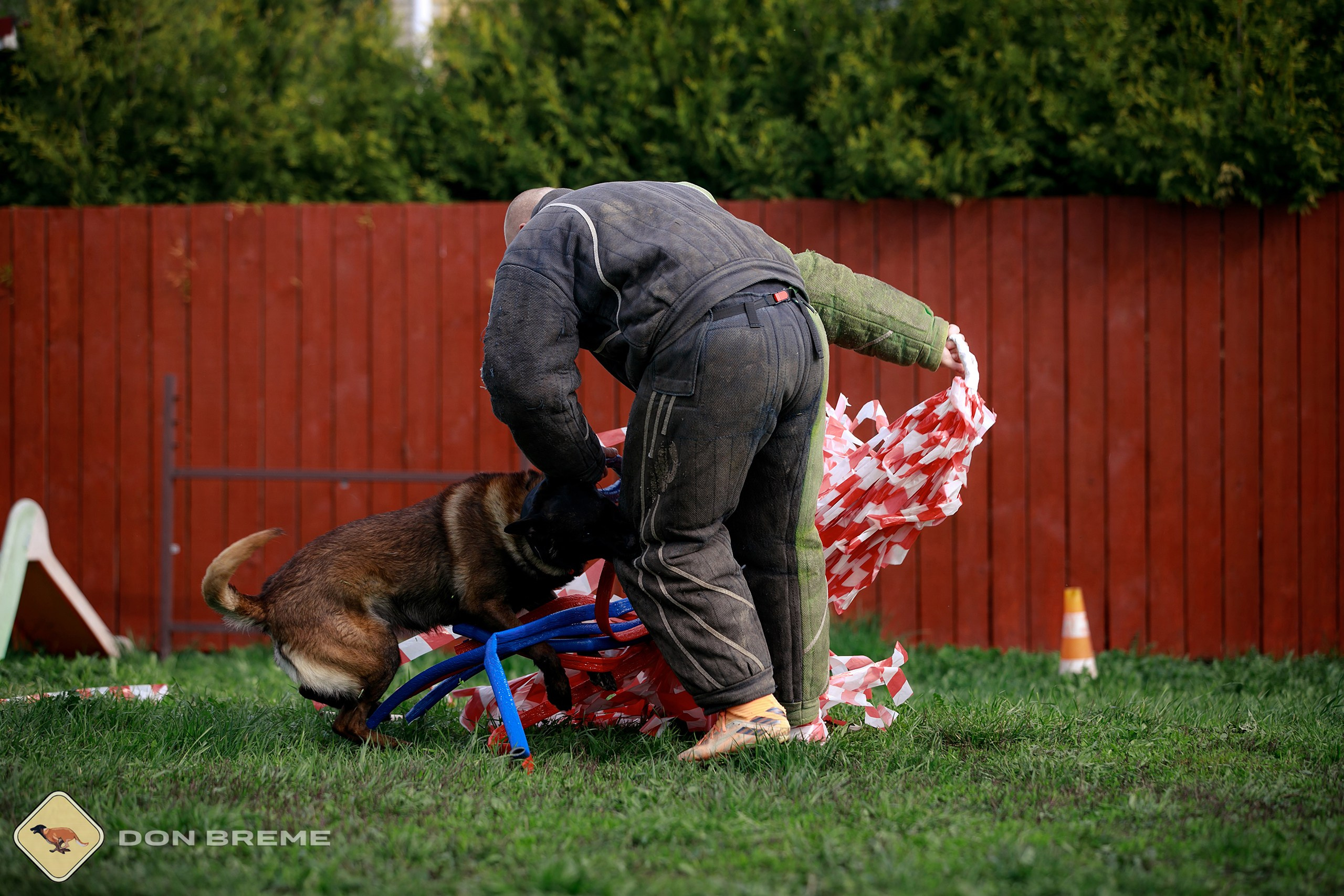 Семинар для фигурантов, день 2. Фотограф-анималист Mary Mart — Москва, Питер