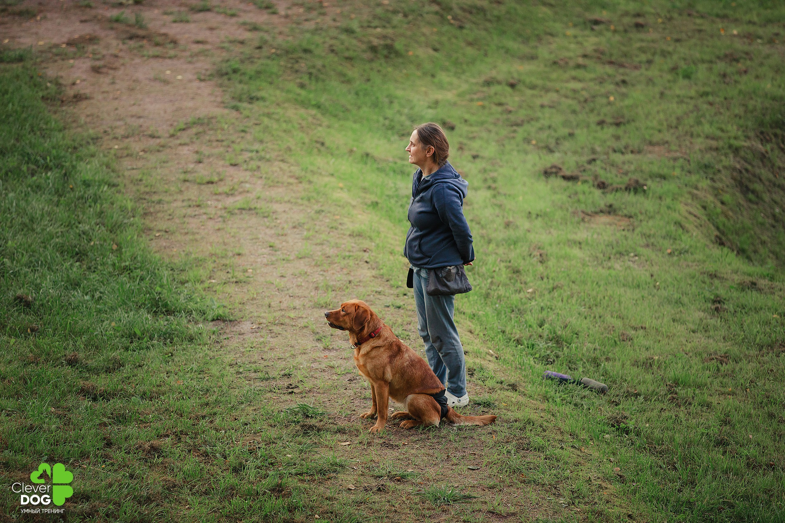 Кинологический лагерь CleverDog, 2024. Фотограф-анималист Mary Mart — Москва, Питер
